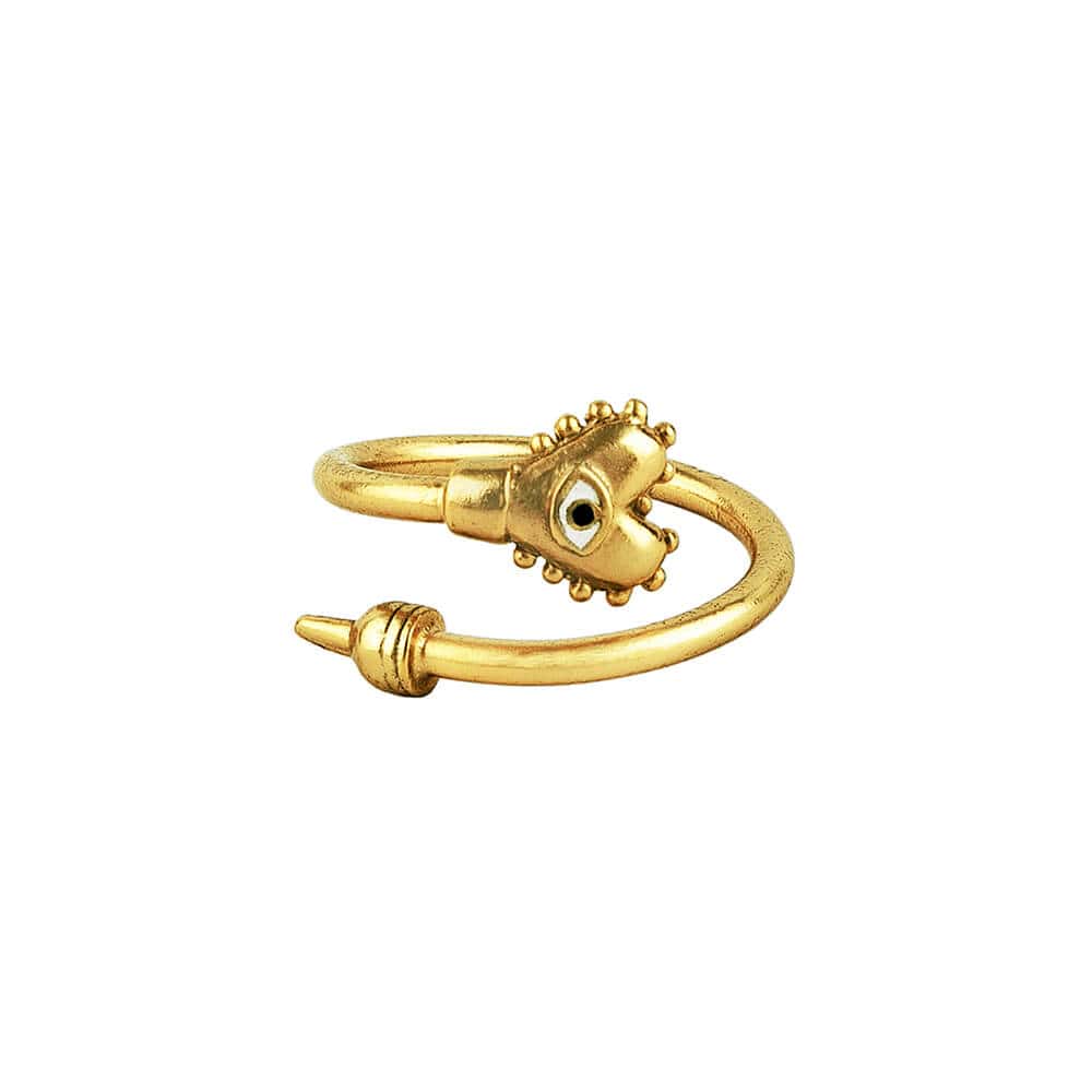 Anillo EyeWitness Spiral