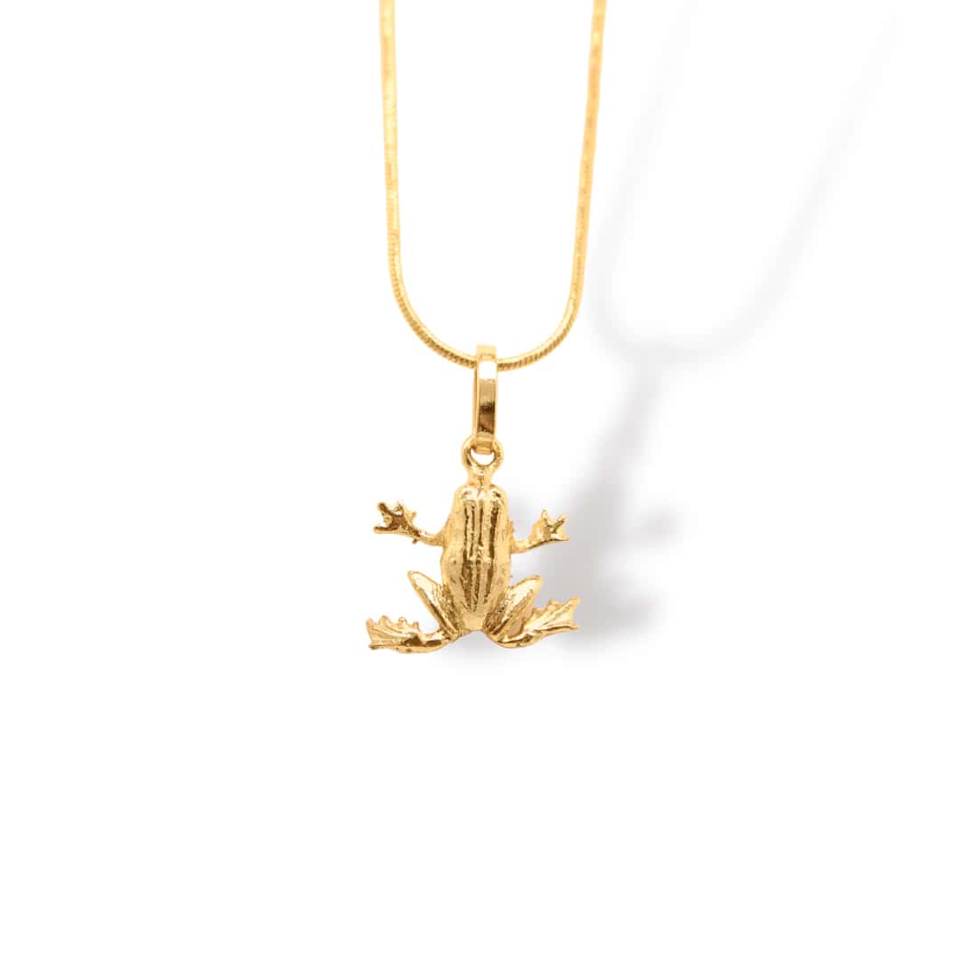 Cadena con rana pequeña