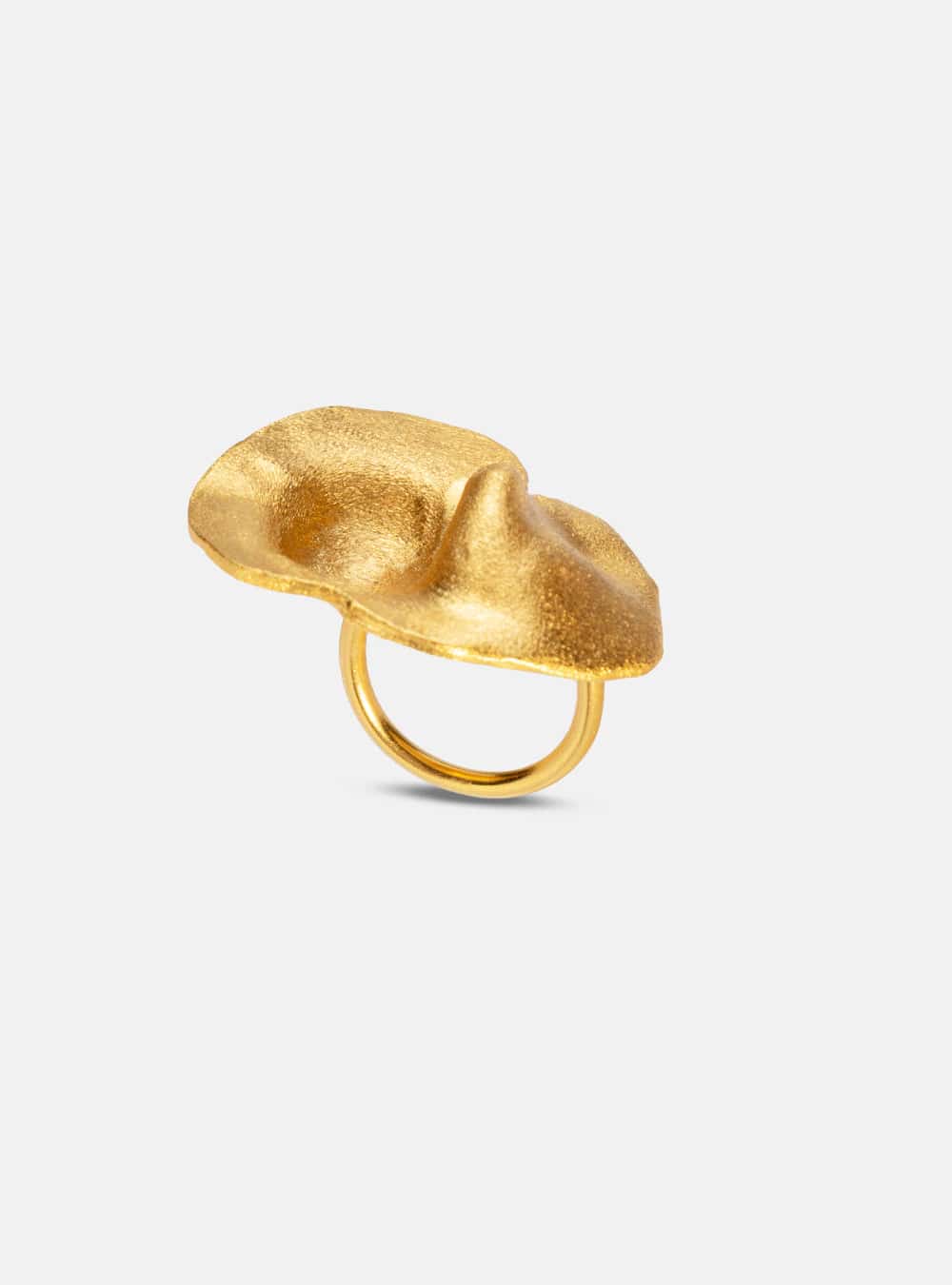 Anillo Fiba