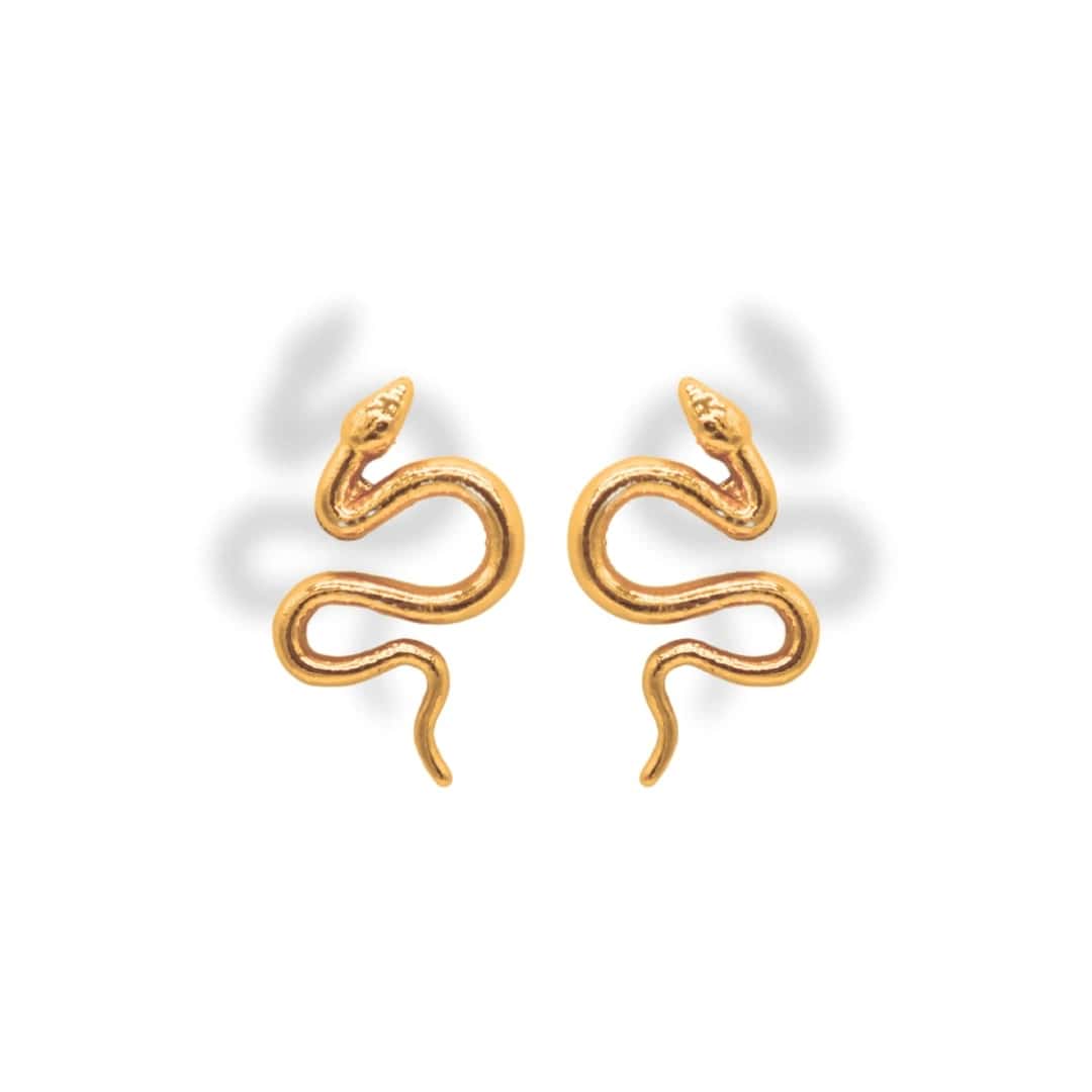 Aretes de serpiente grande