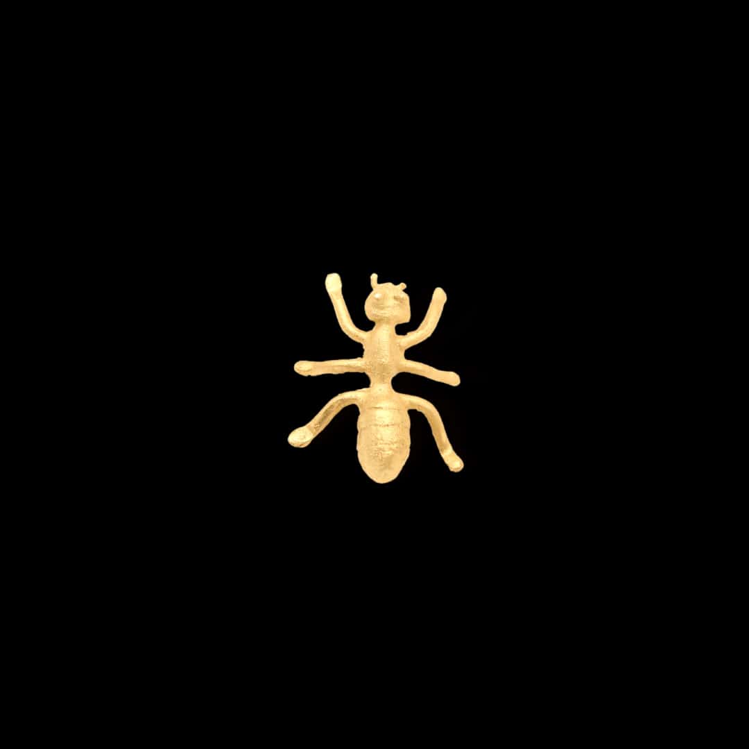 Pin de hormiga pequeña