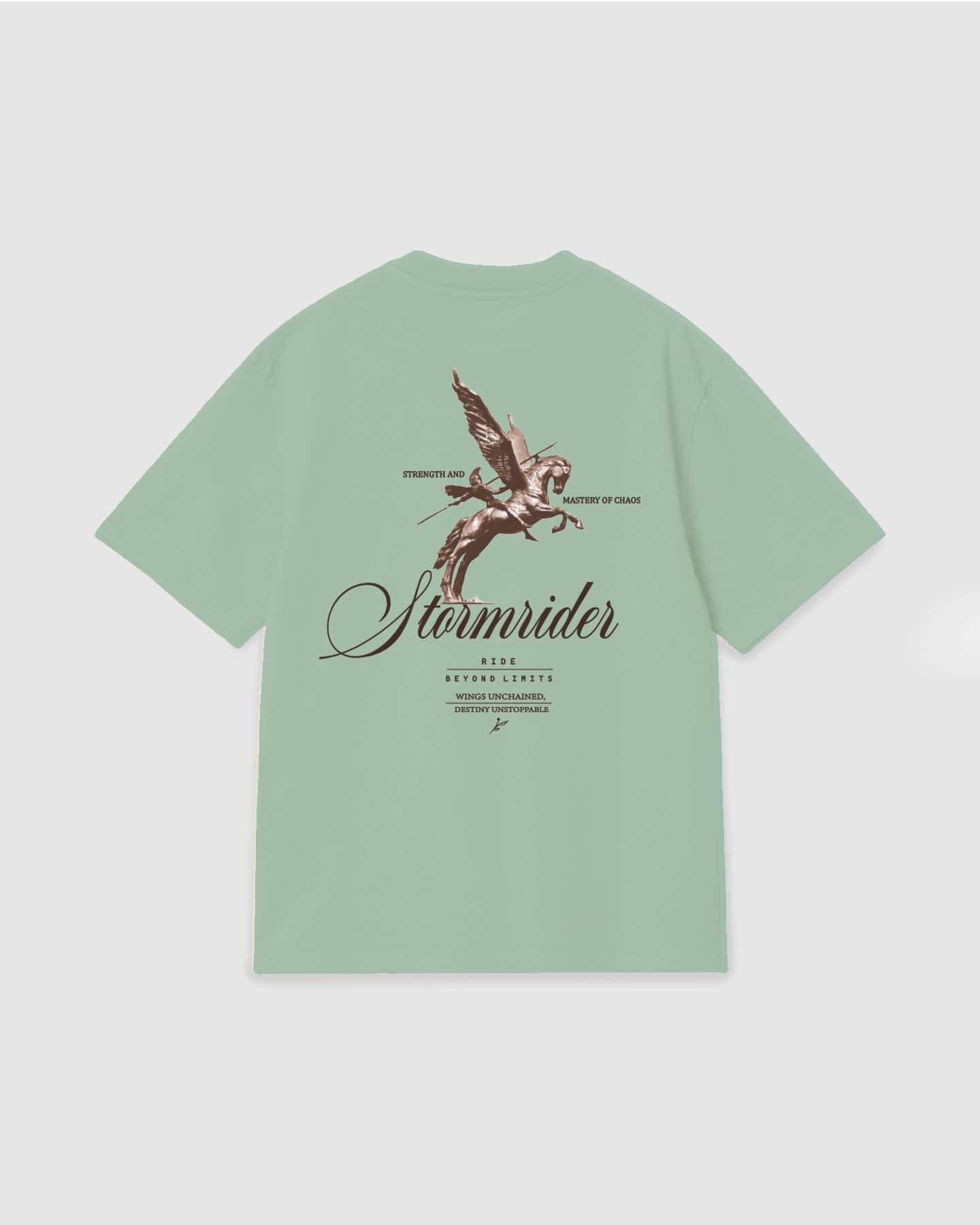 Oversized T Shirt Stormrider Light Green