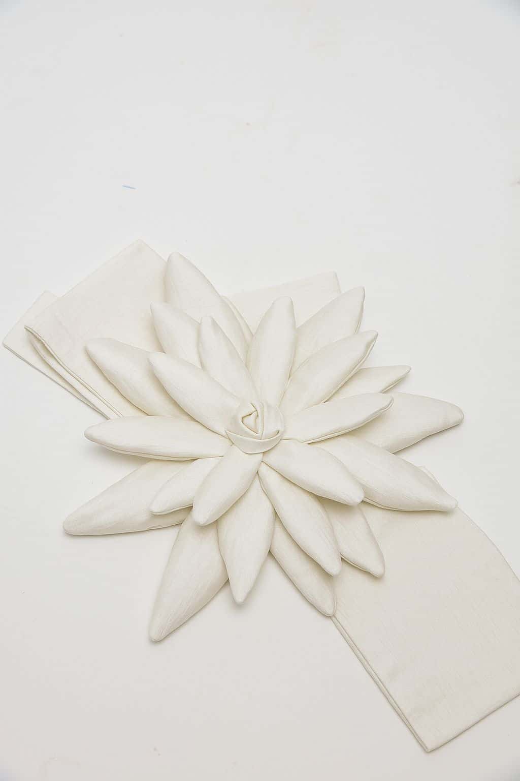 Cinturón Frailejón Blanco