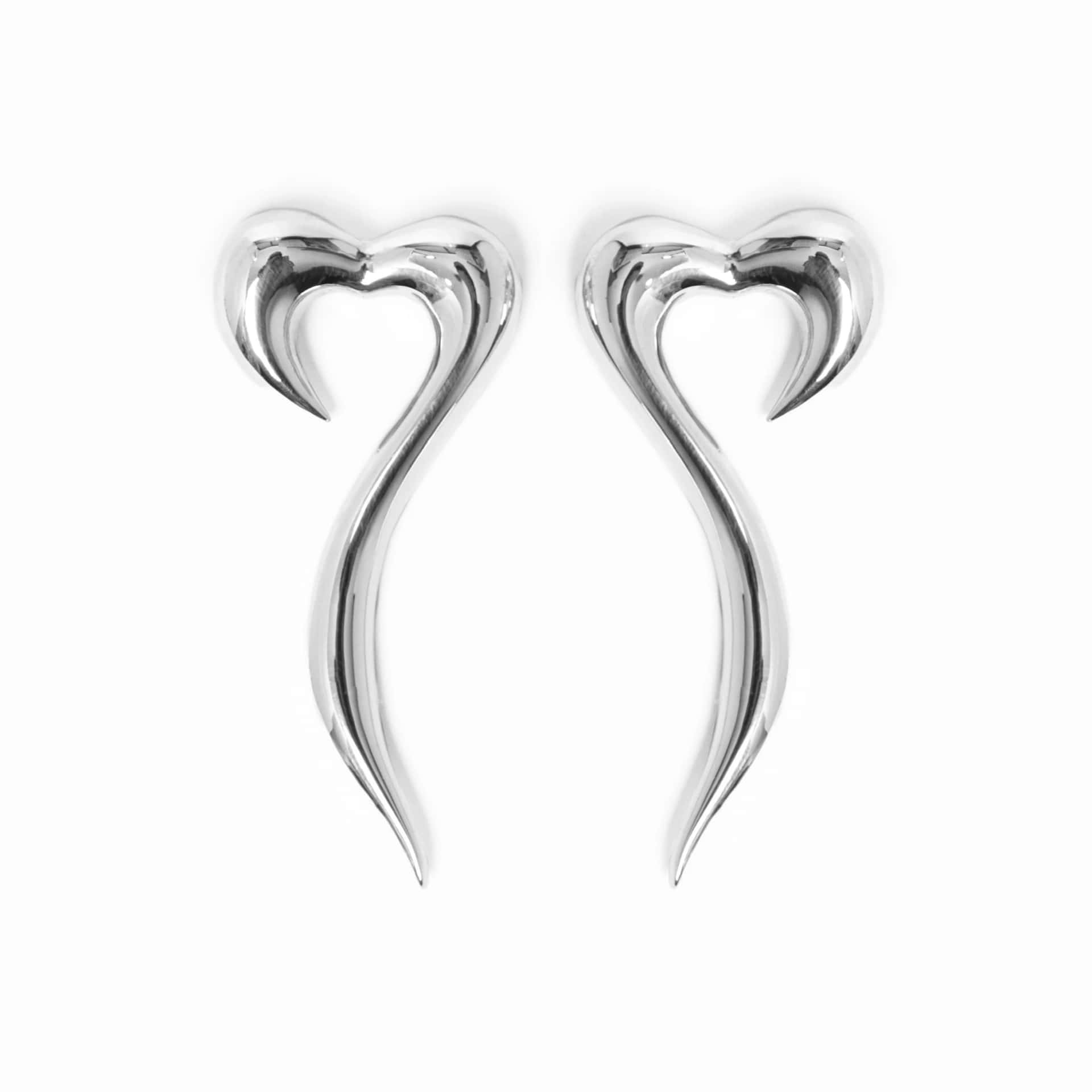 Aretes Elogio (Maxi: largo 5.5cm)