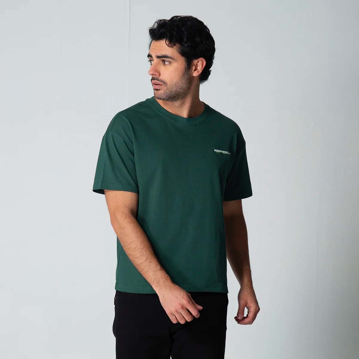 Camiseta Basica Cuello Redondo Wold