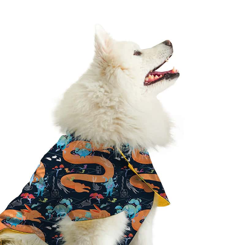 Capa impermeable para mascotas Guaduas Viajerxs Astrales - miniatura 2
