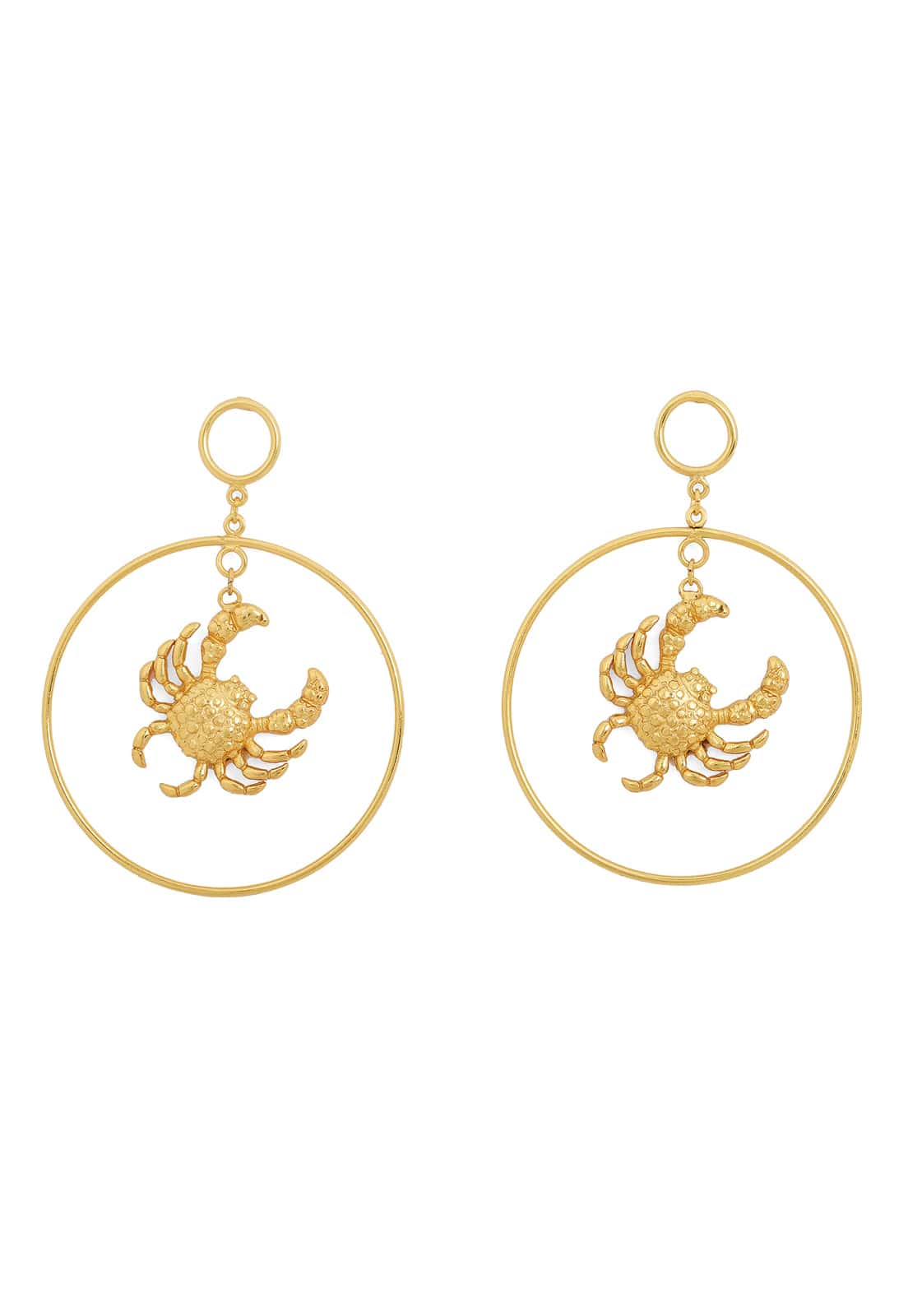 Mr Crab Maxi Hoops