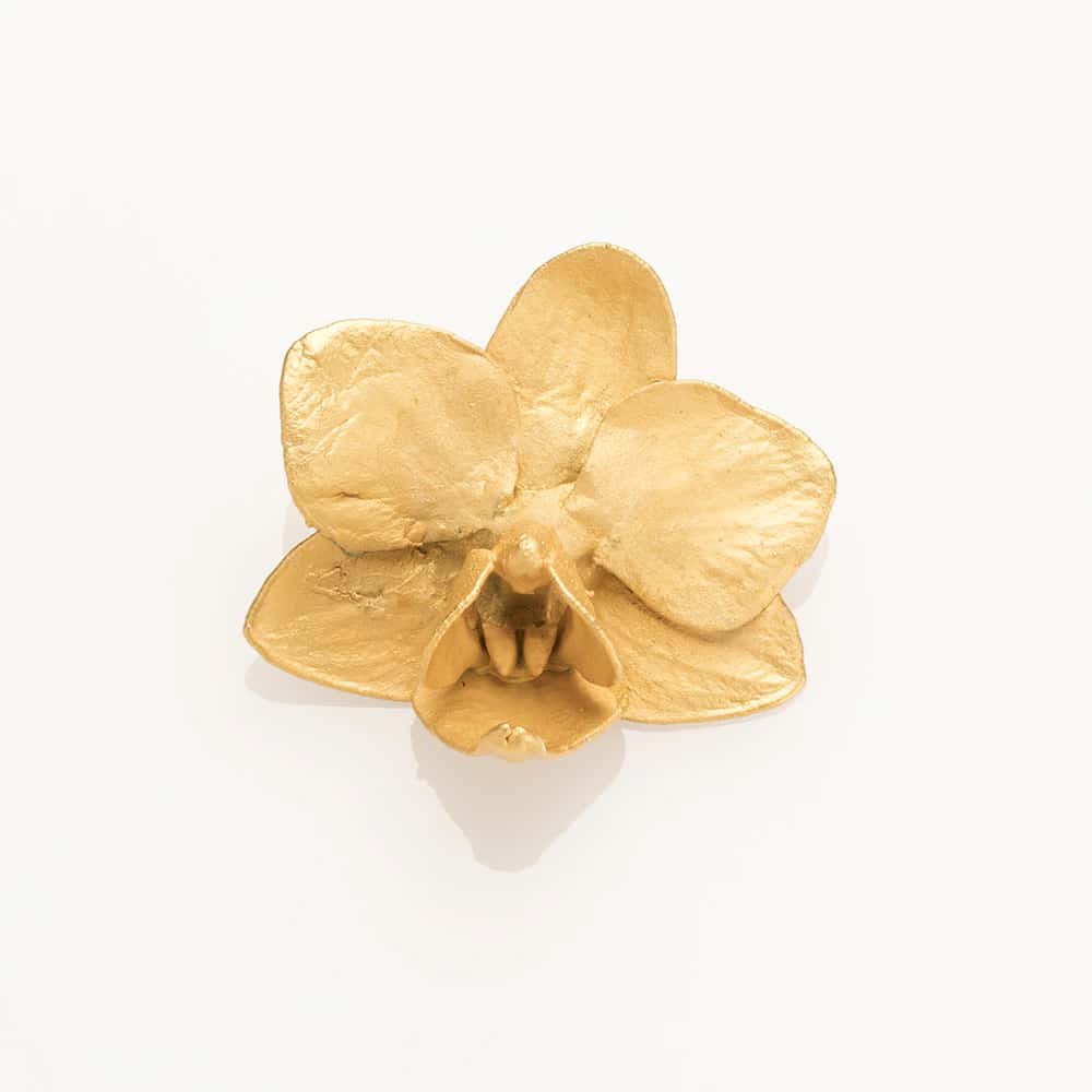 Mini Phalaenopsis Orchid Button