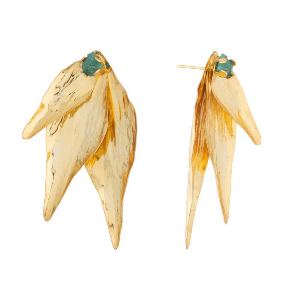 Aretes Topo Enigmática