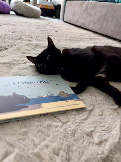 LIBRO EL VIEJO FRITZ - miniatura 3