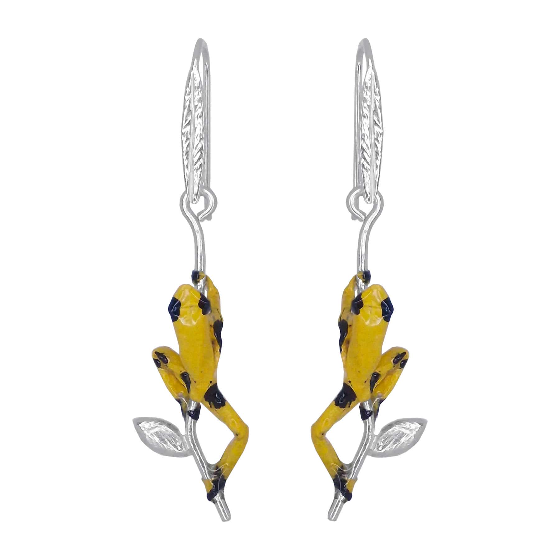 Arete rana