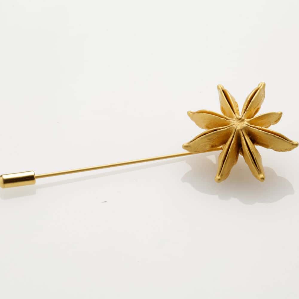 Star Anise Pin
