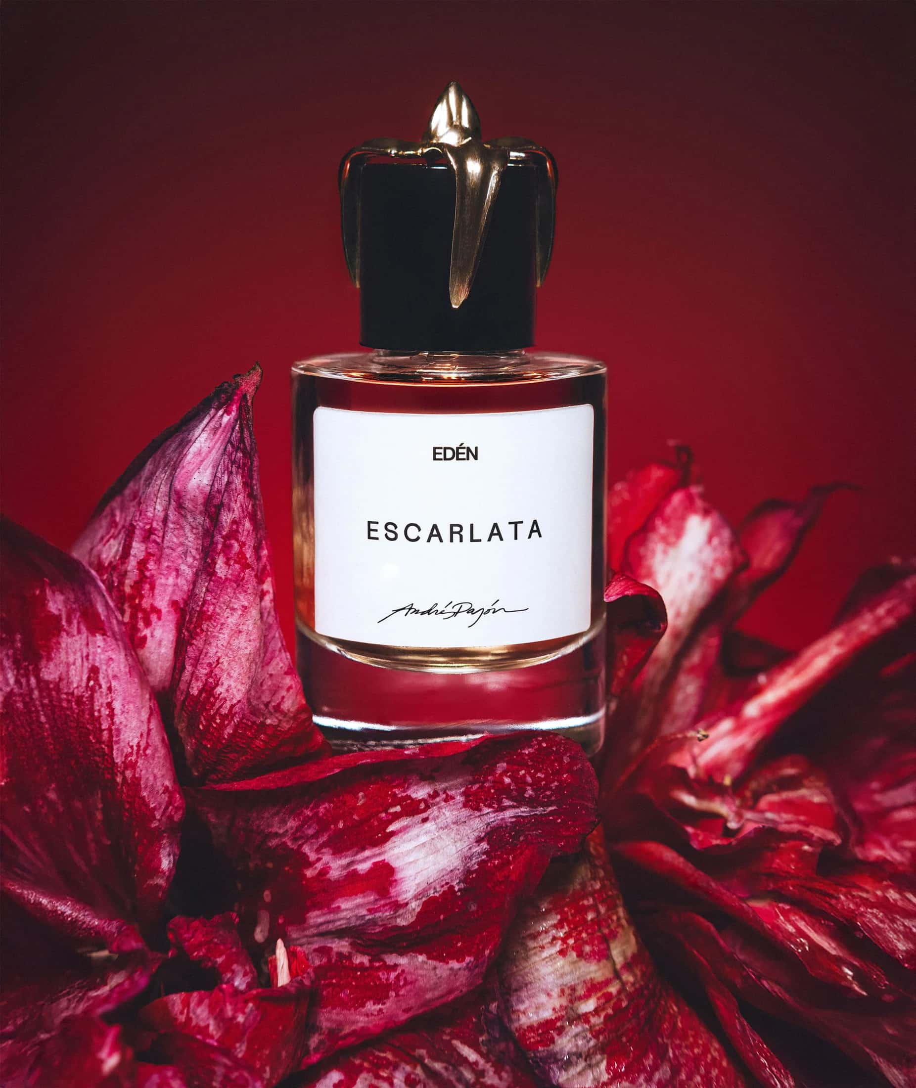ESCARLATA - miniatura 2
