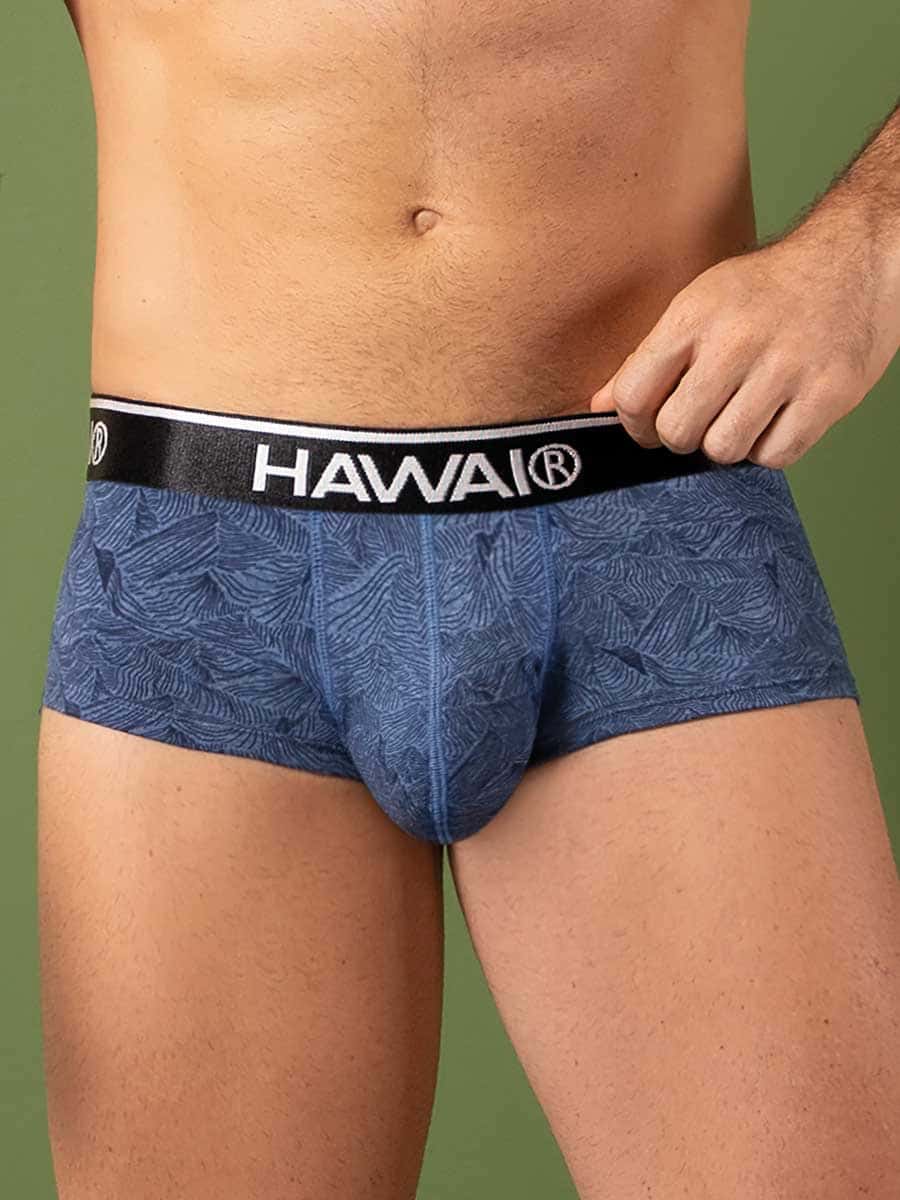 Brief en Algodón Estampado Azul