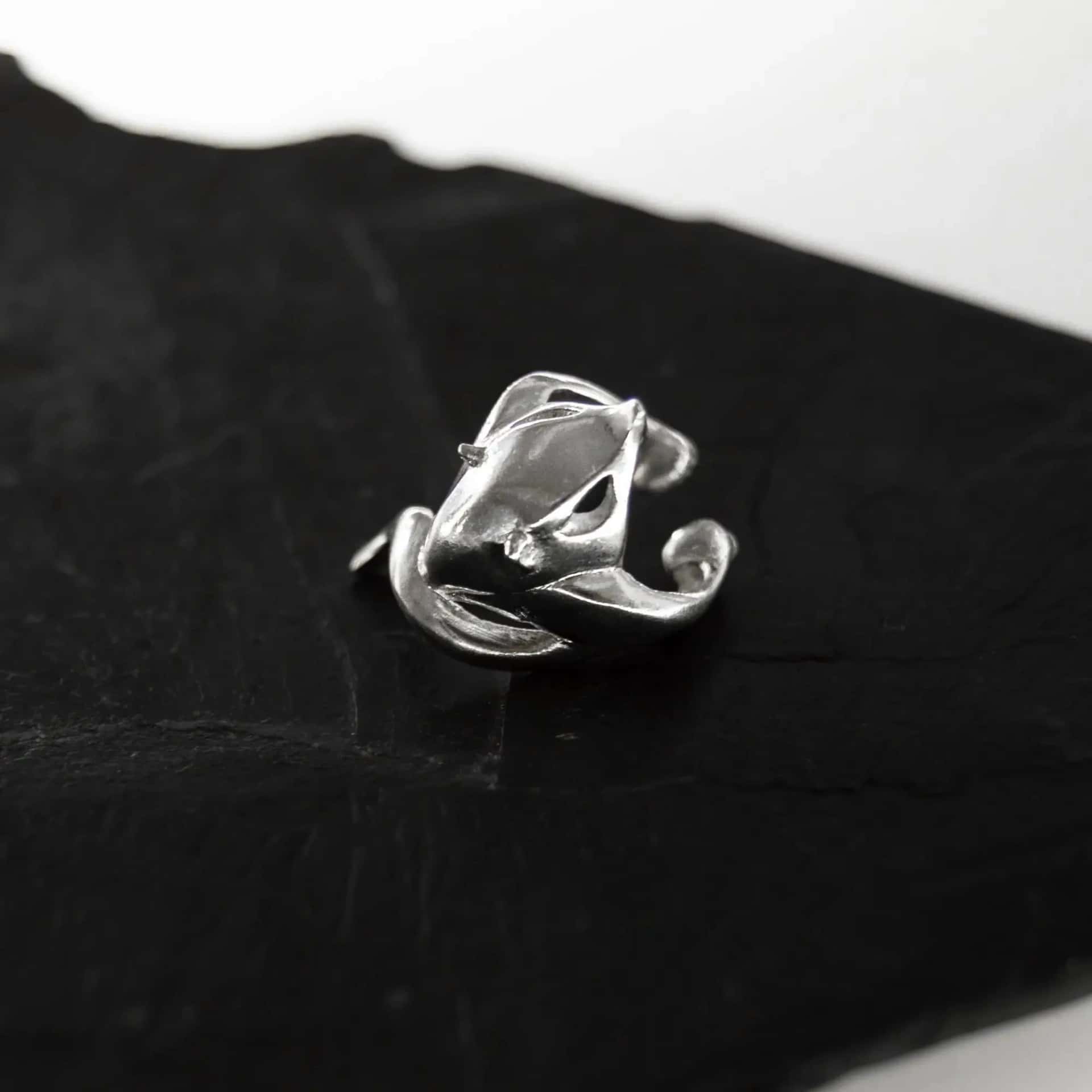 Earcuff Coatí