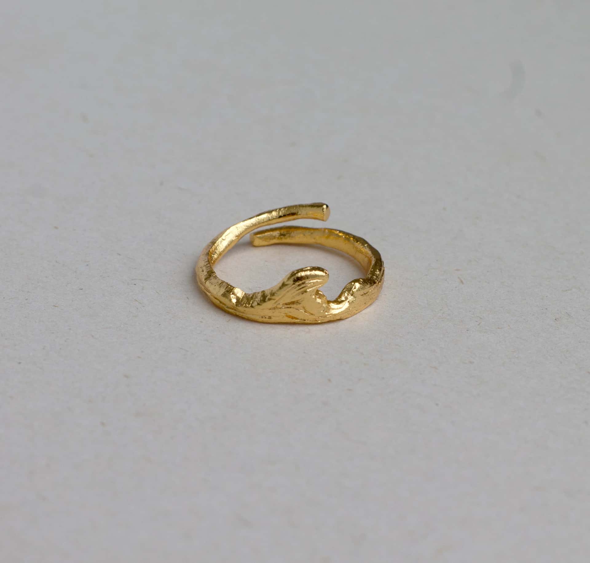 Anillo Olas