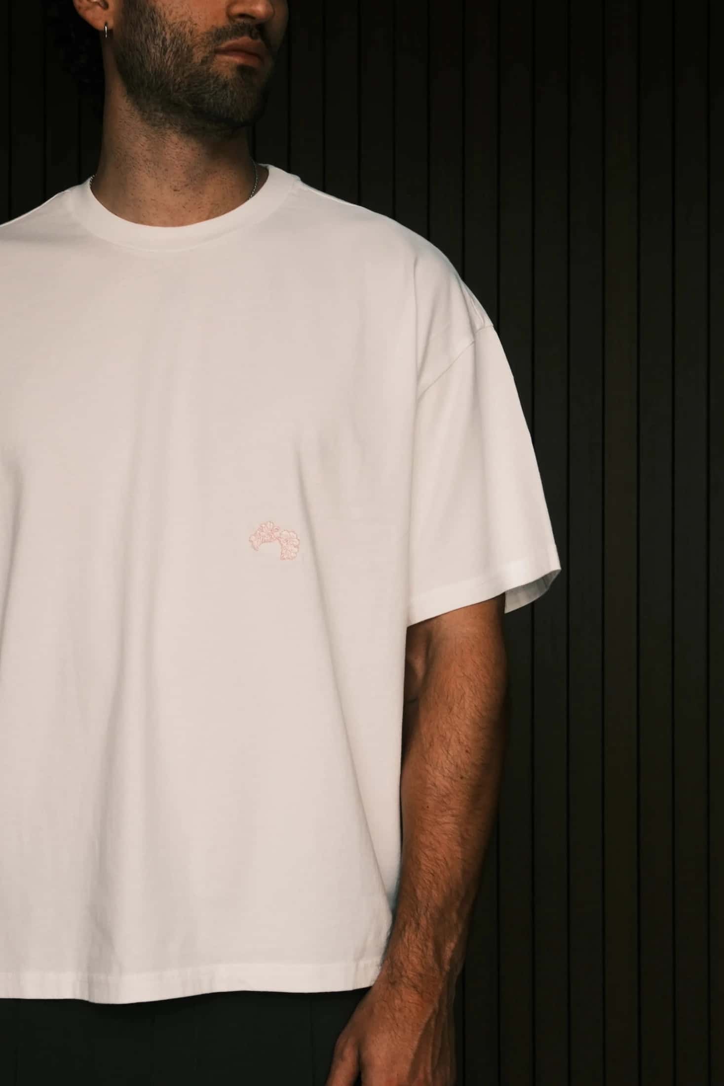 CAMISETA BOXY DAISUGI - miniatura 5