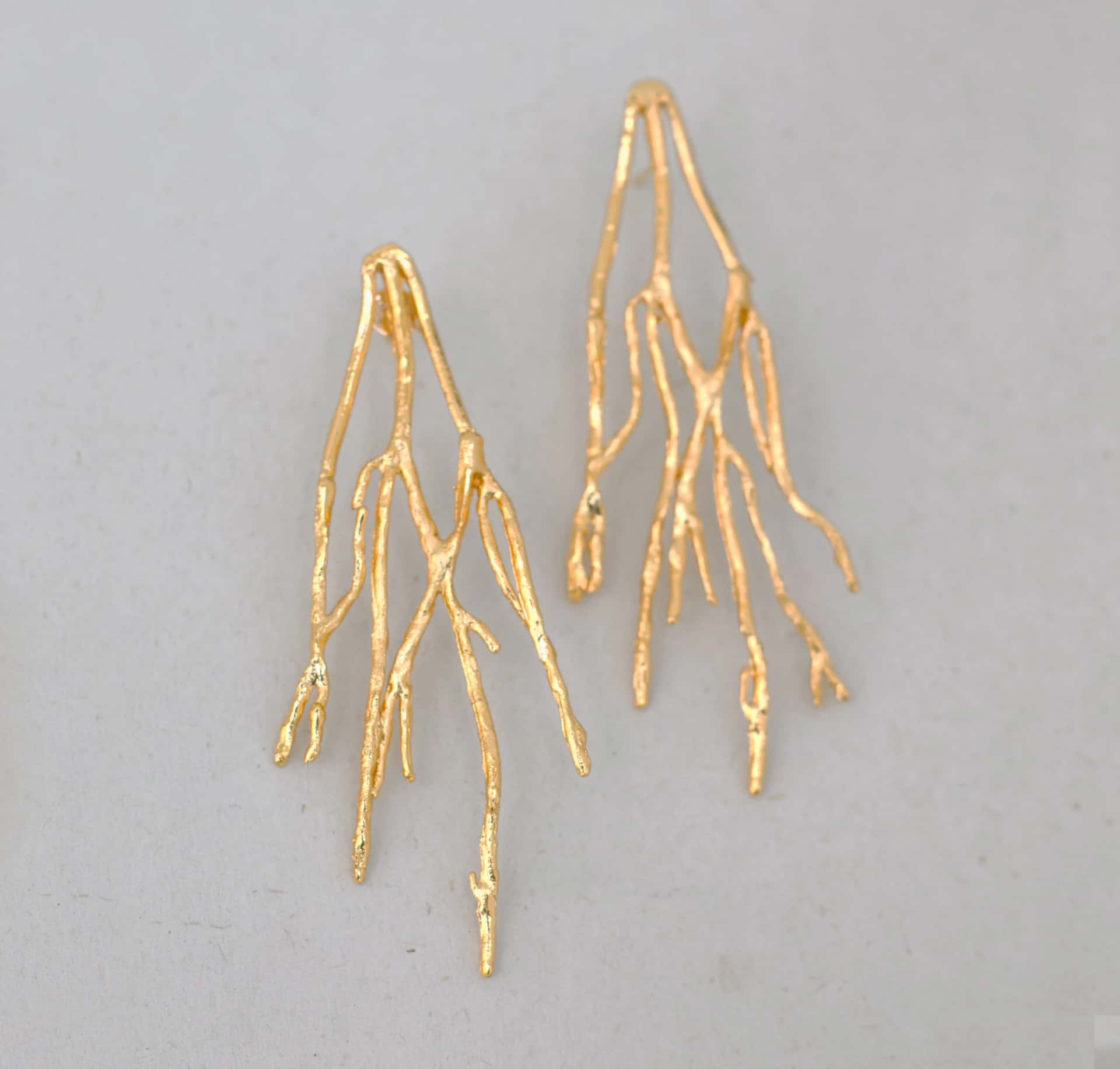 Aretes Arraigados