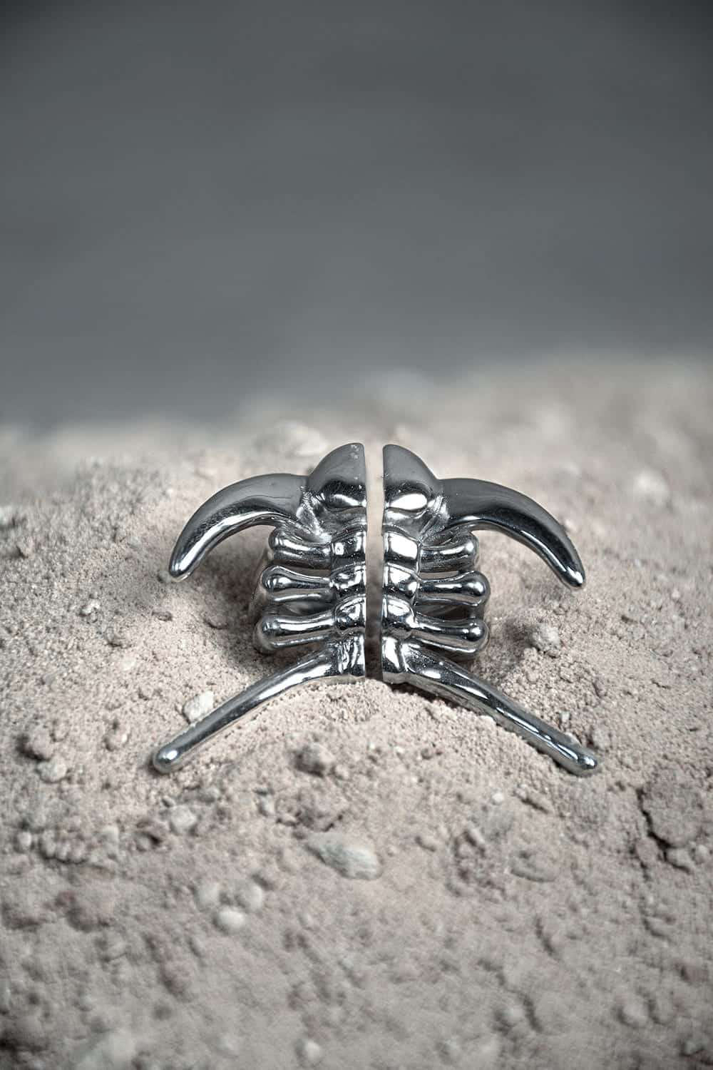 Anillo Deiphon - miniatura 2