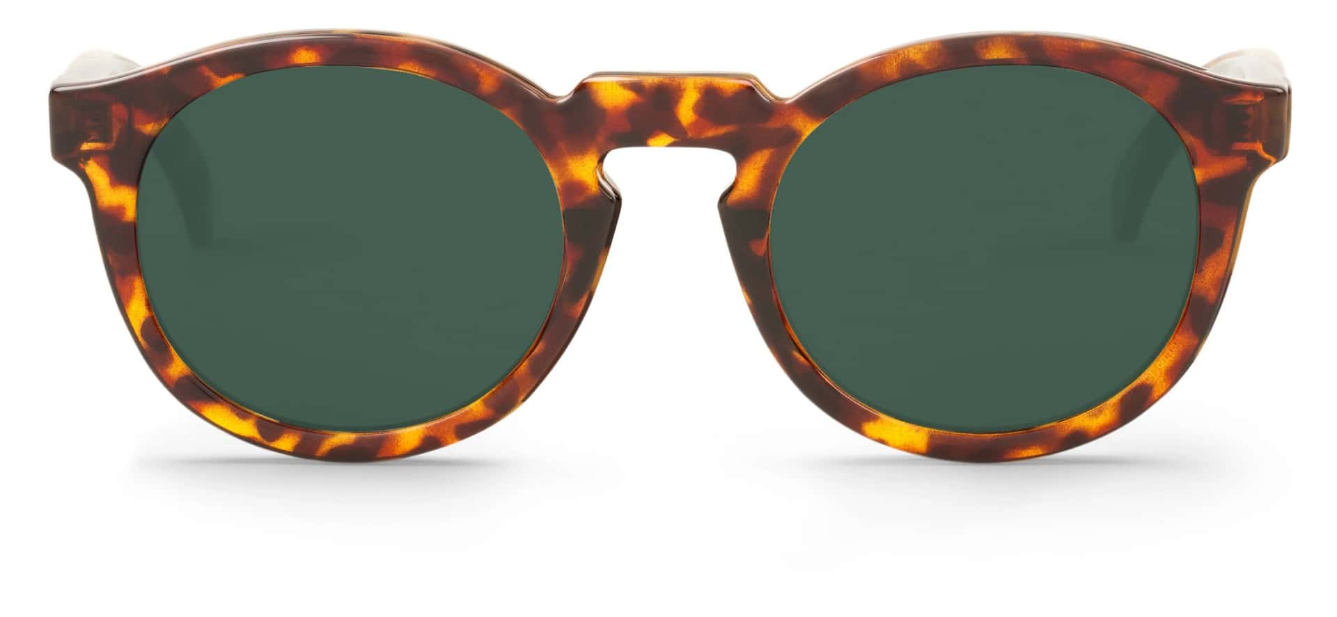CHEETAH TORTOISE JORDAAN WITH CLASSICAL LENSES