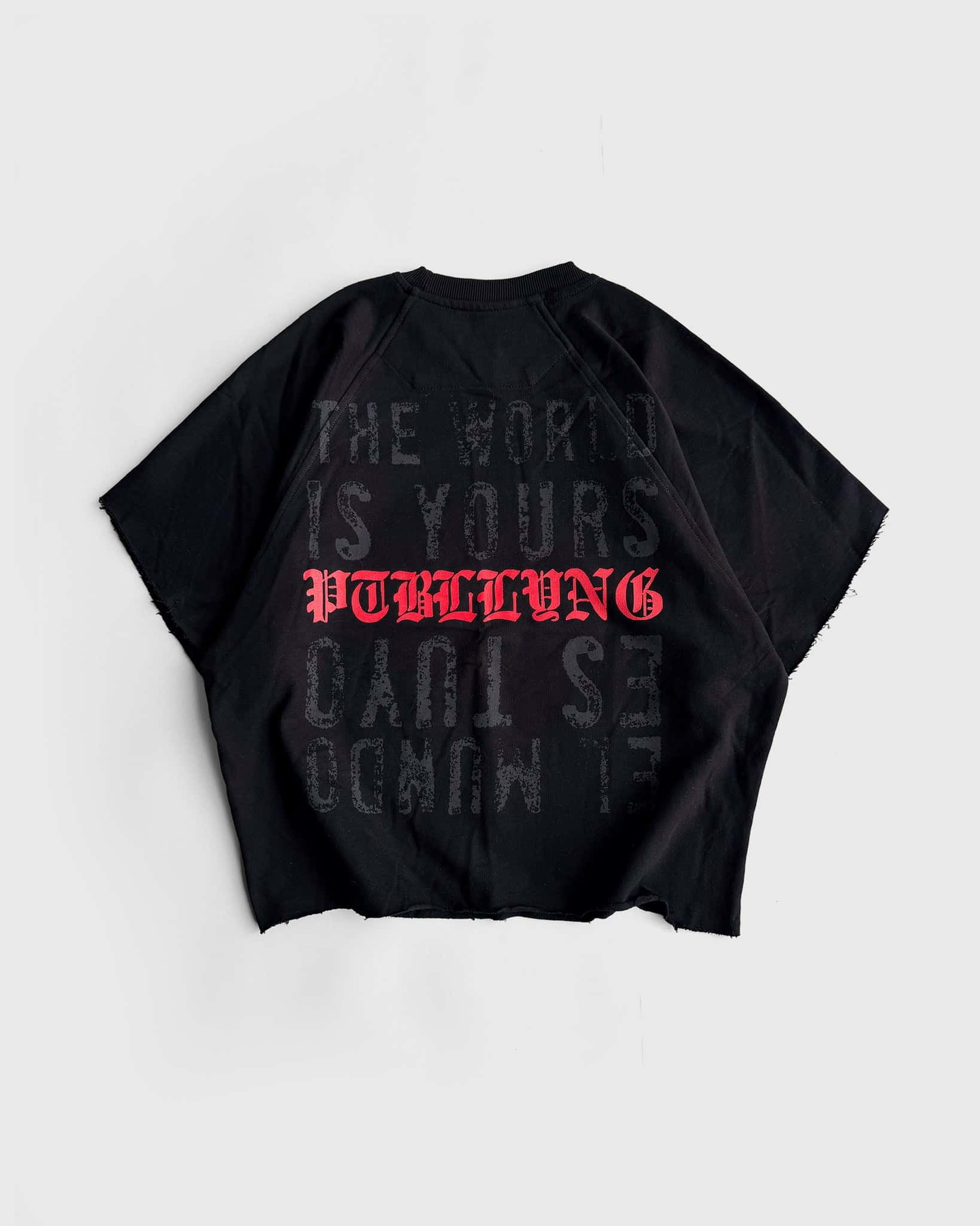 CREWNECK THE WORLD IS YOURS - miniatura 5