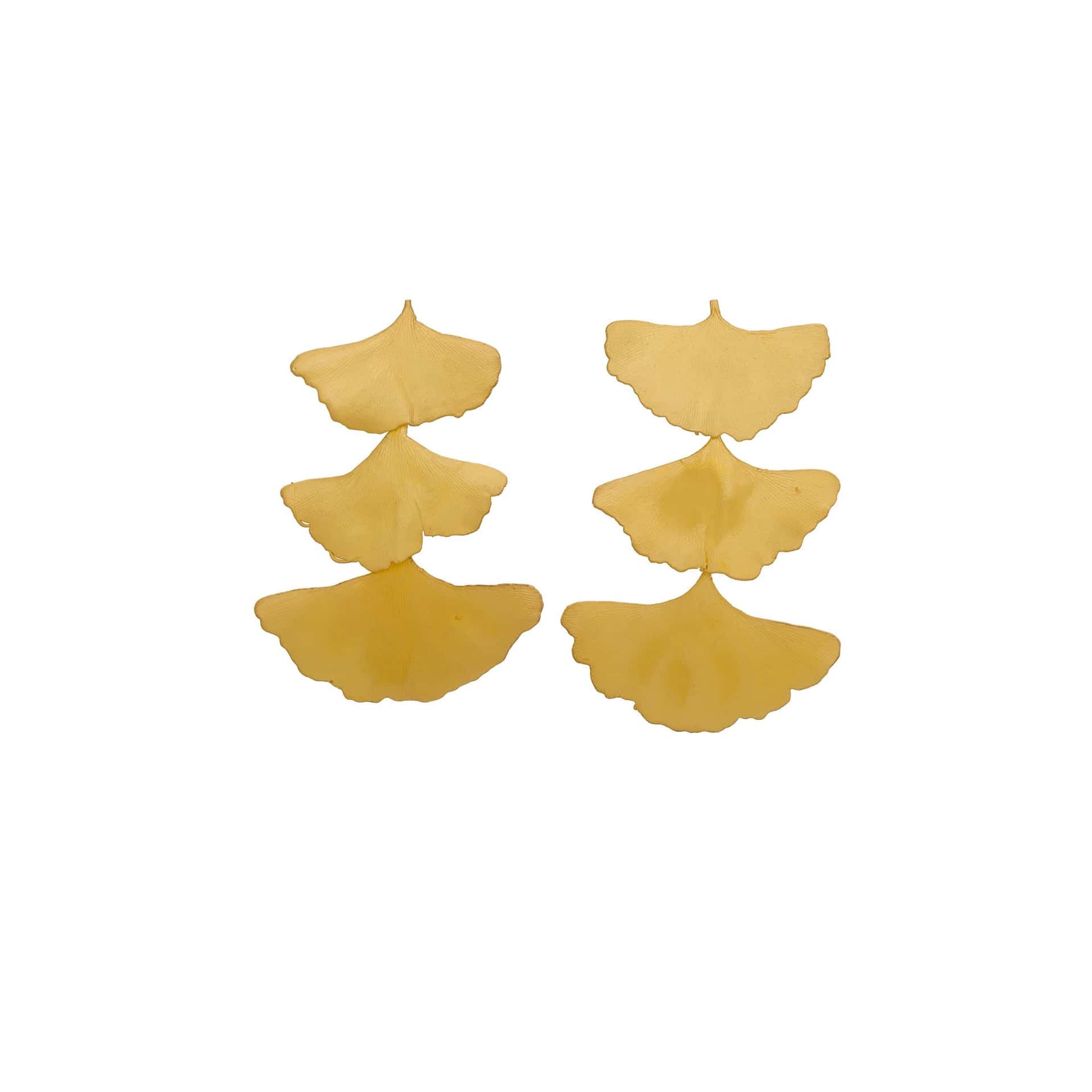 ARETES GINKGO