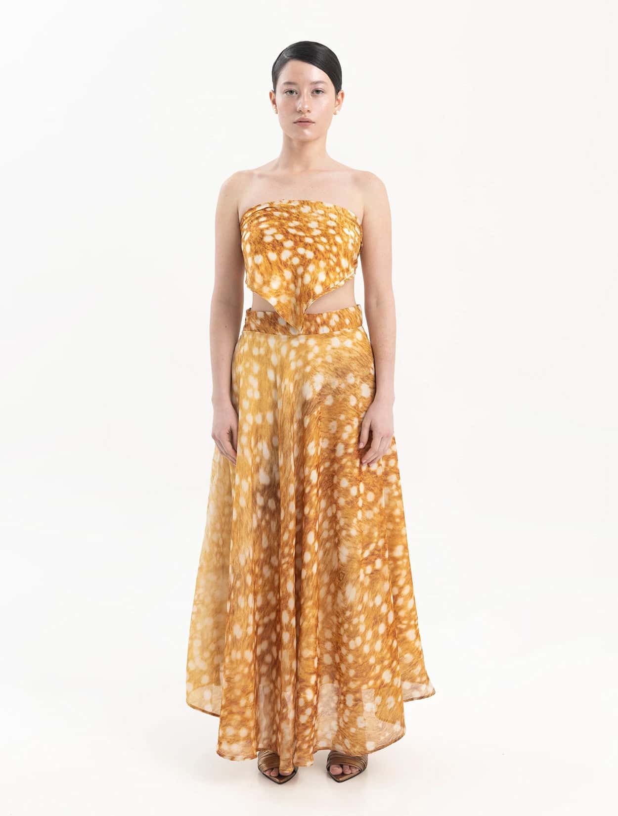 FALDA MYCELIUM