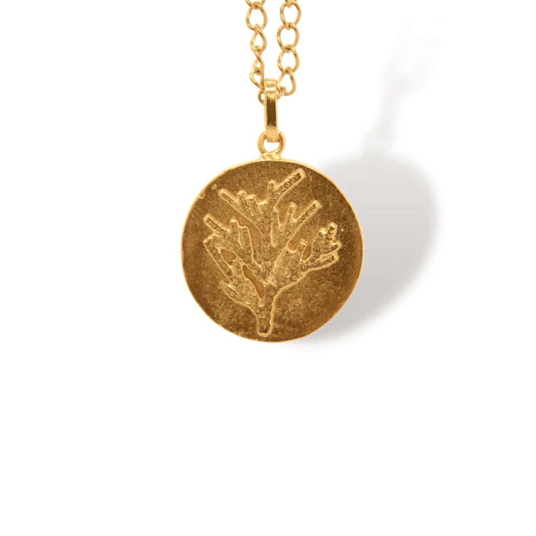 Cadena de conífera