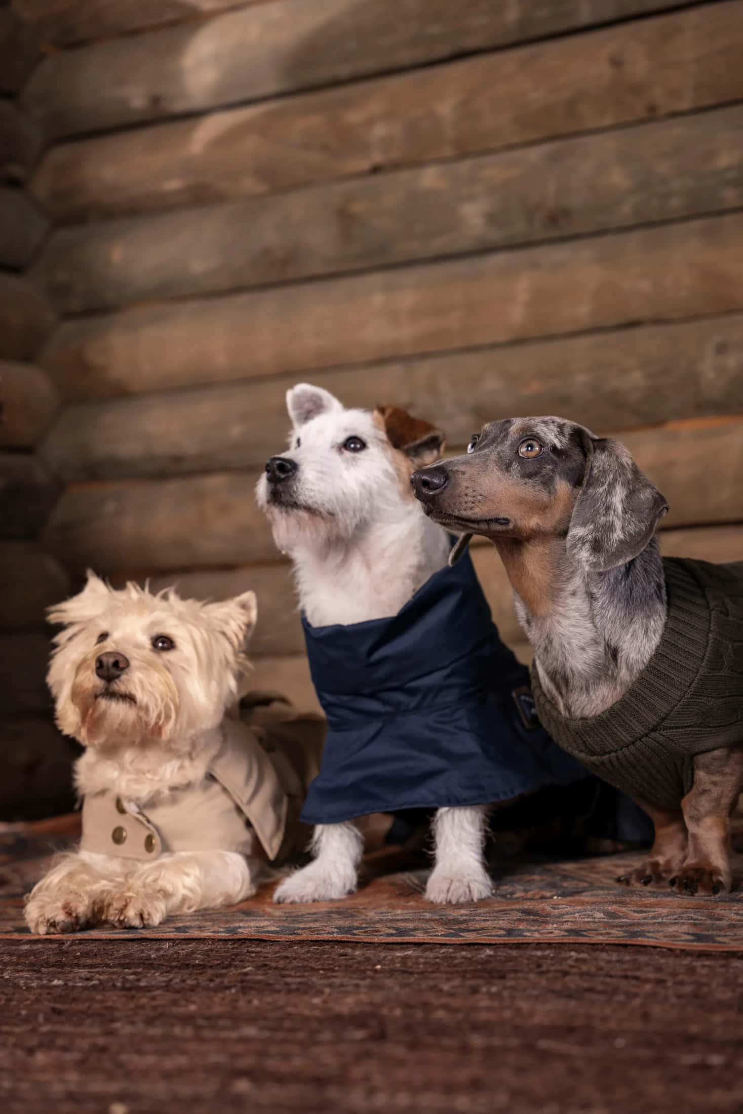 3-Pack Pet Essentials - miniatura 2