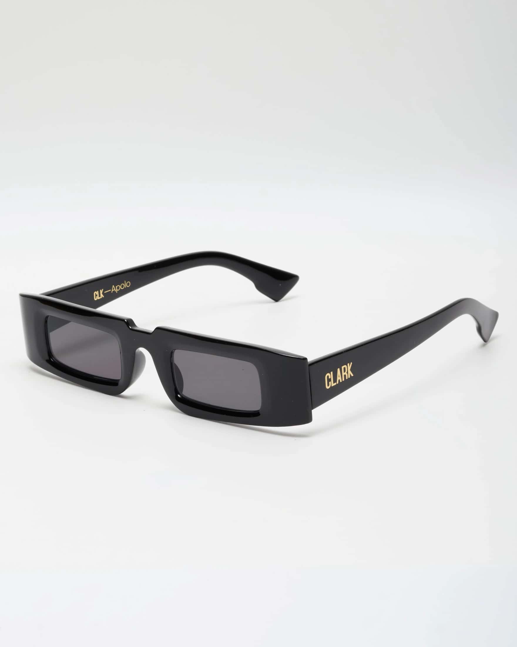 APOLO SUNGLASSES -BLACK