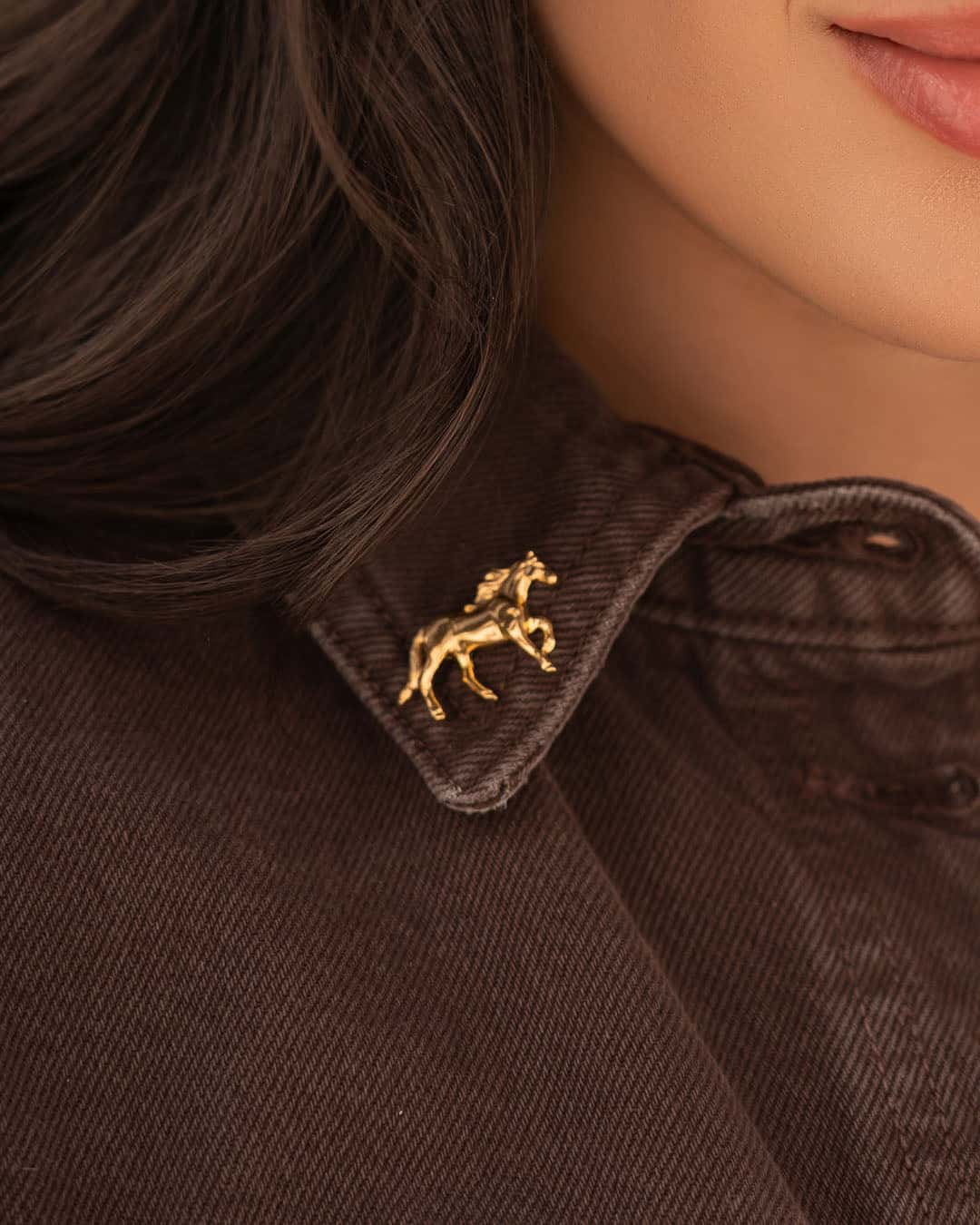 Pin Caballo
