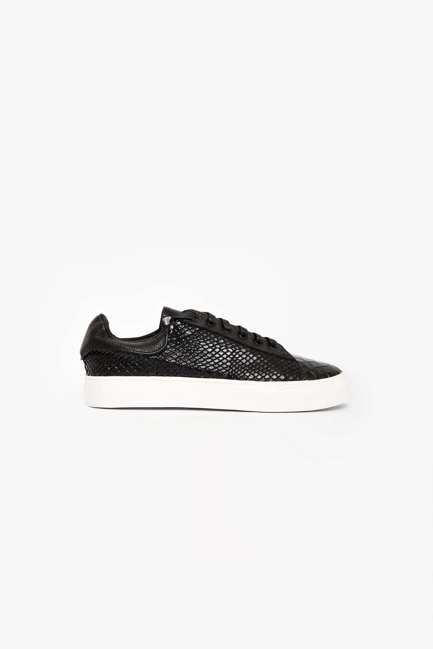 CROCODILE NEGROS