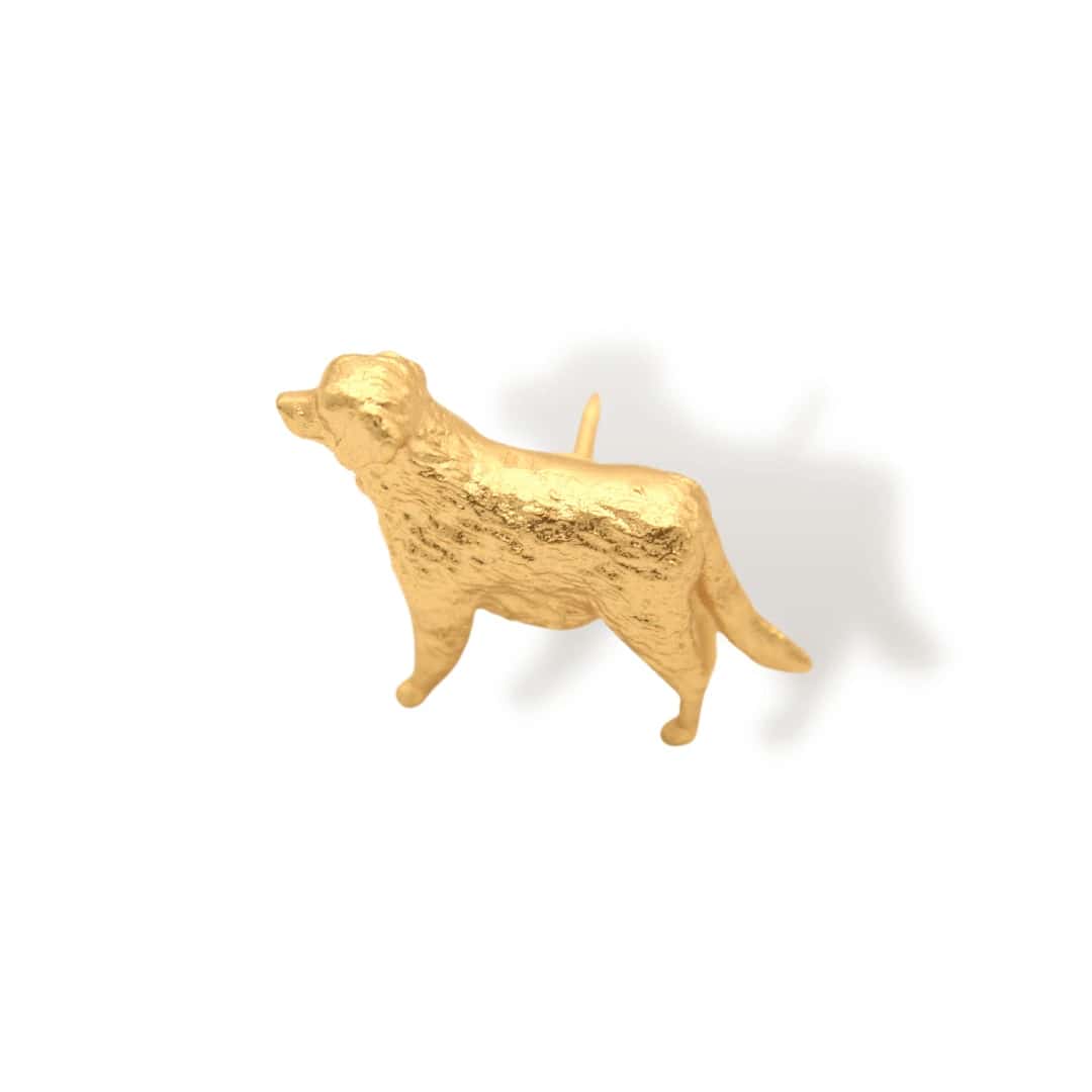 Pin de perro peludo cuerpo completo