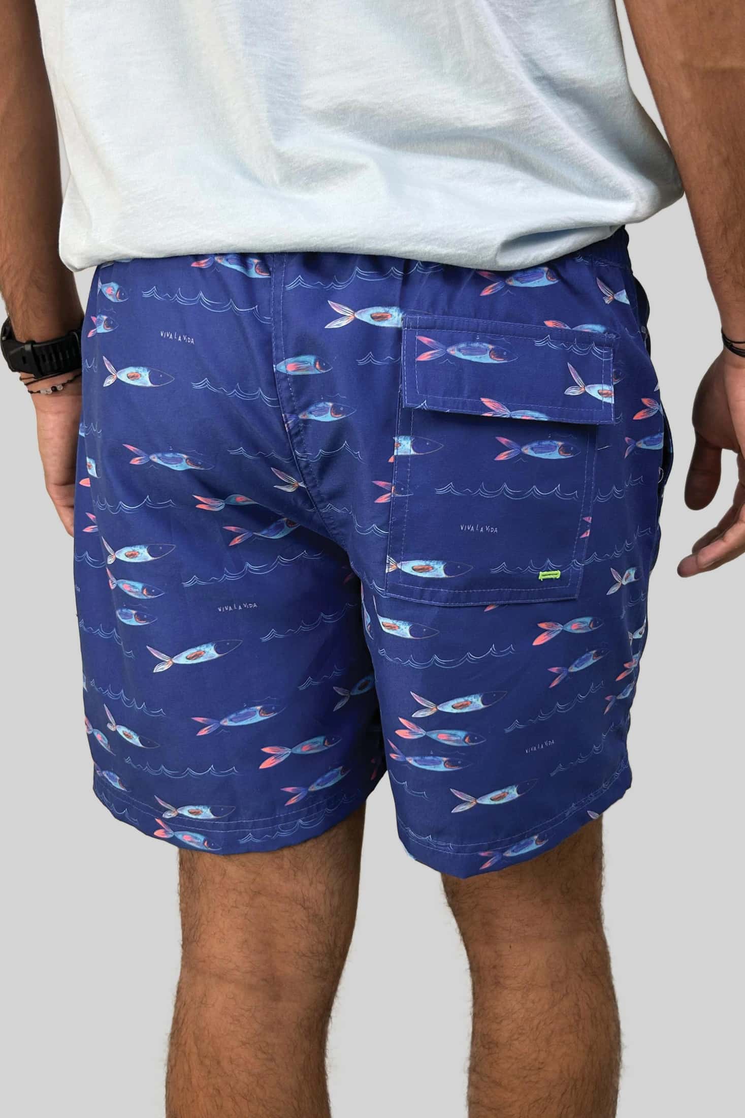 PANTALONETA PARROT FISH - miniatura 2