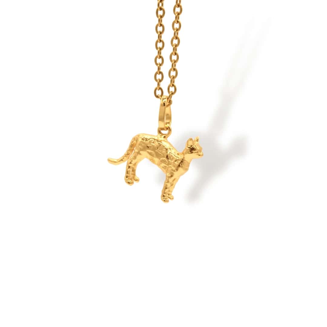 Cadena de gato con manchas cuerpo completo