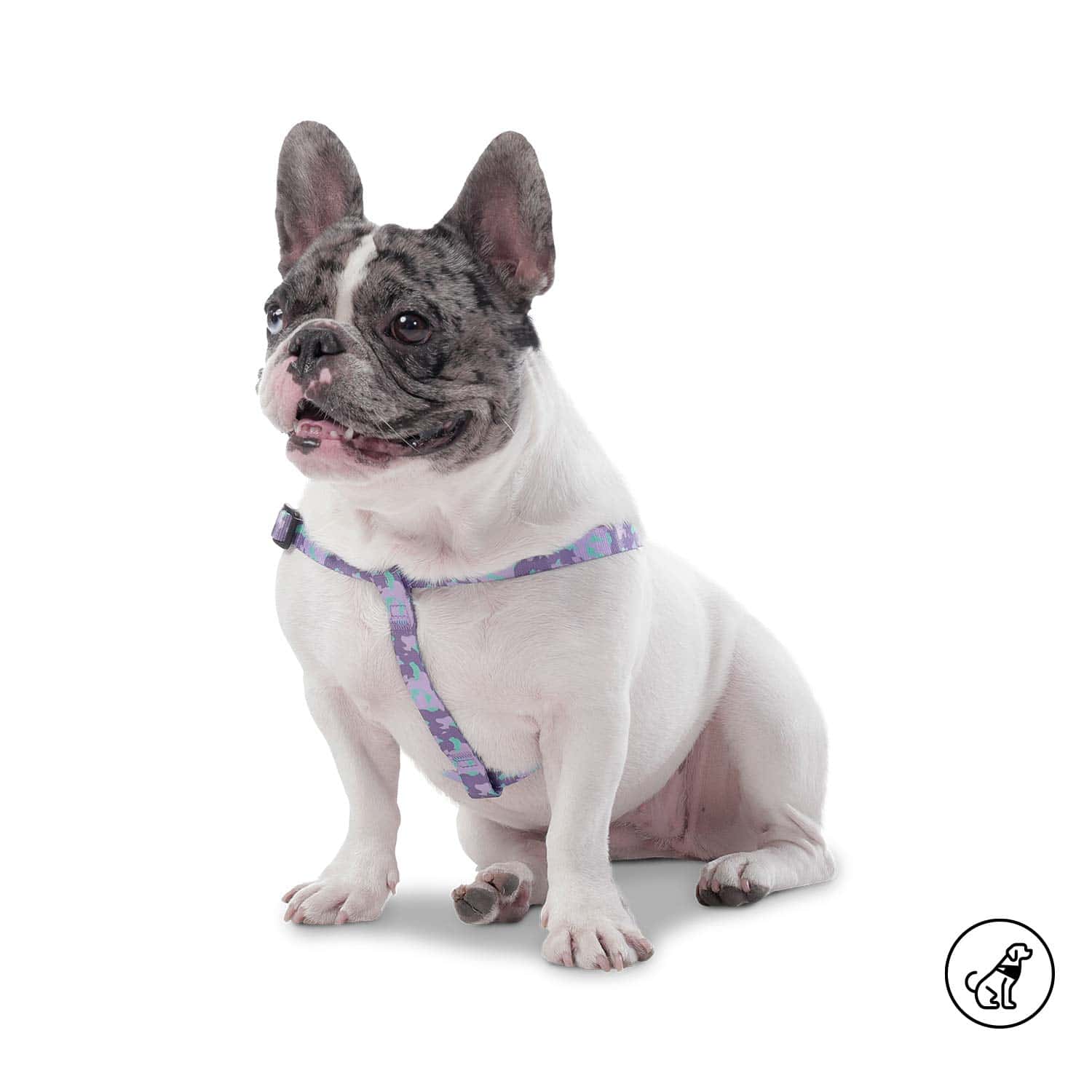 Arnés para Perro Brunno Xl Morado