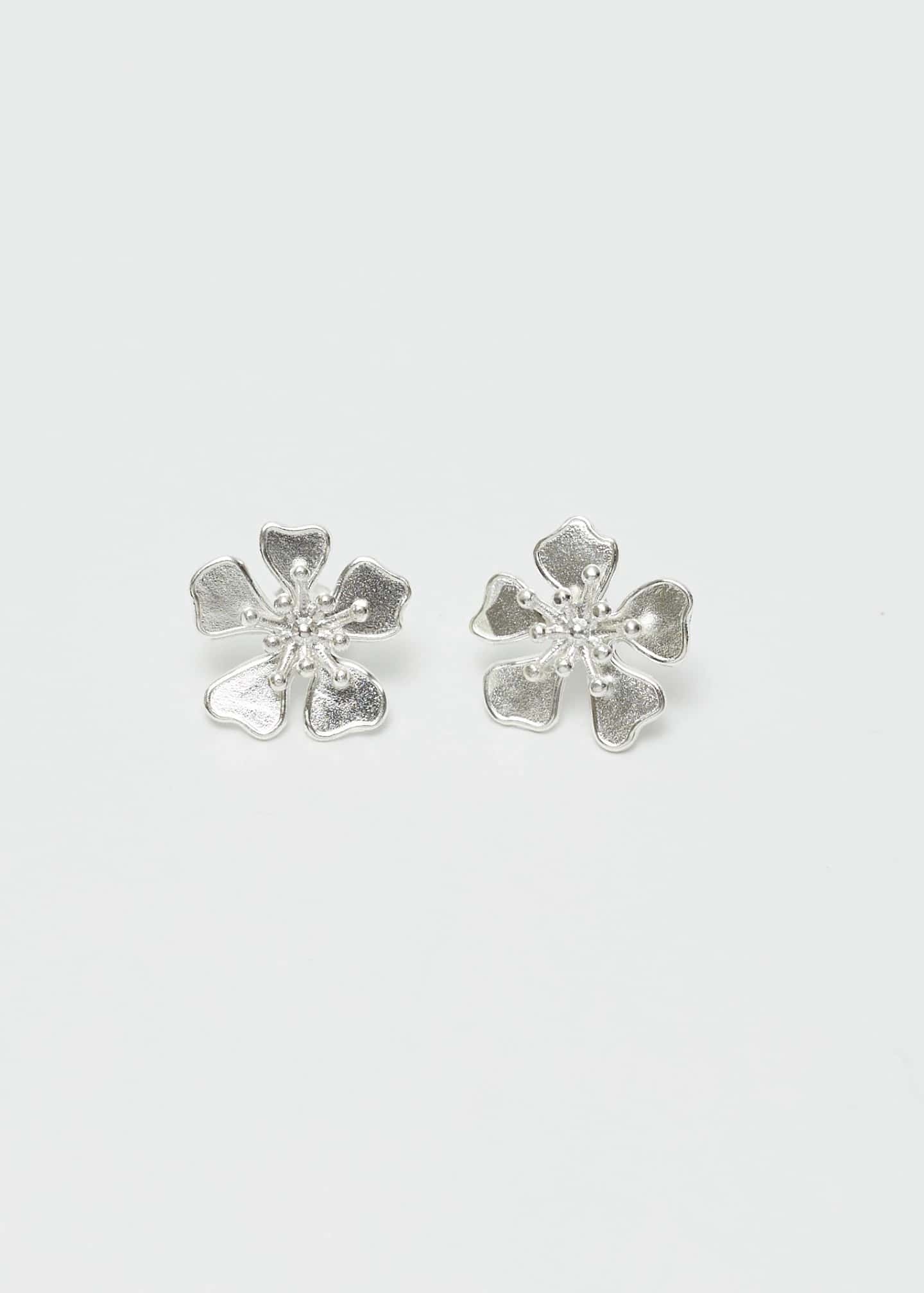 Aretes Aurora mini Plata