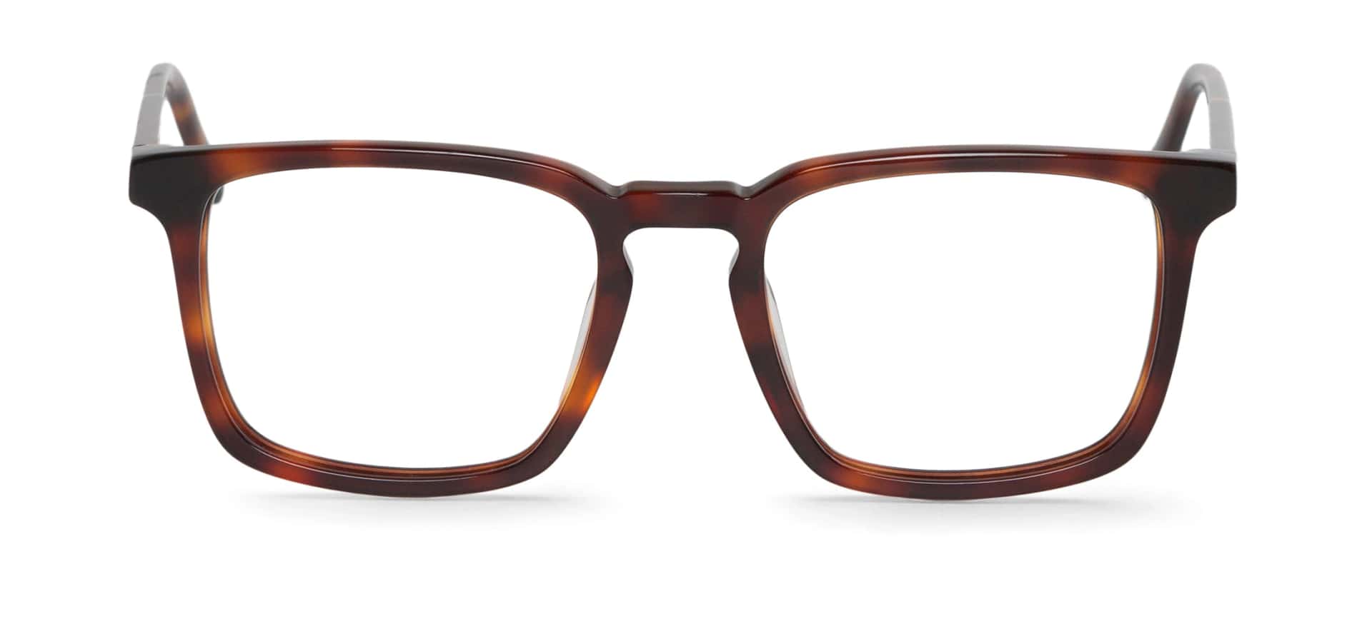 WALNUT - BELCHER