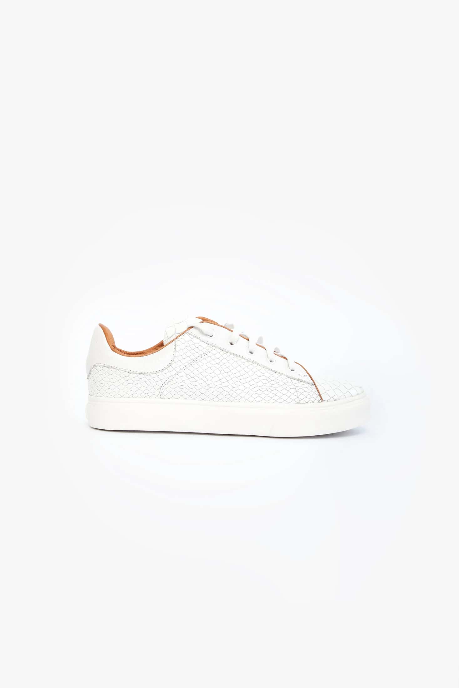 CROCODILE BLANCO
