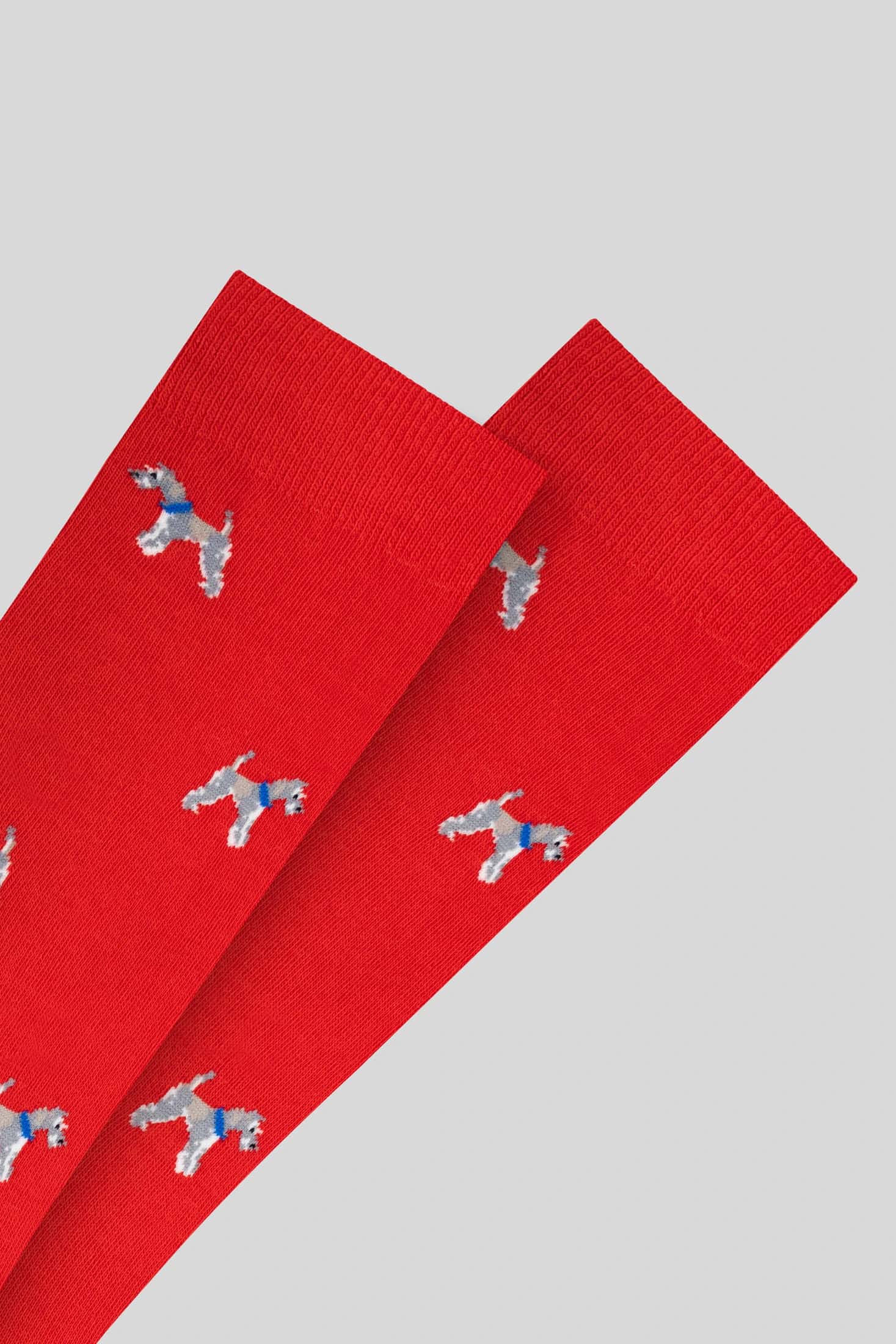 Men's dogs red sock