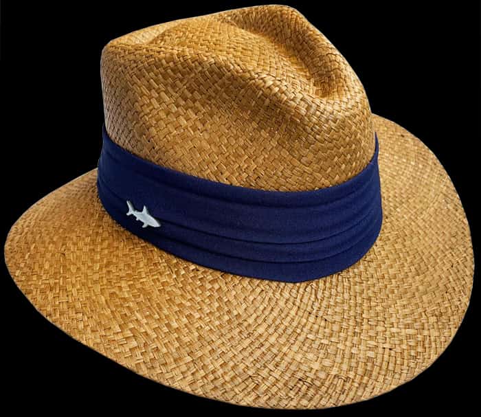 SOMBRERO OSCURO CINTA ANCHA AZUL