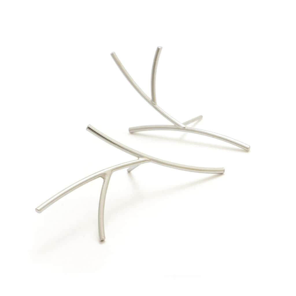 Aretes rhipsalis