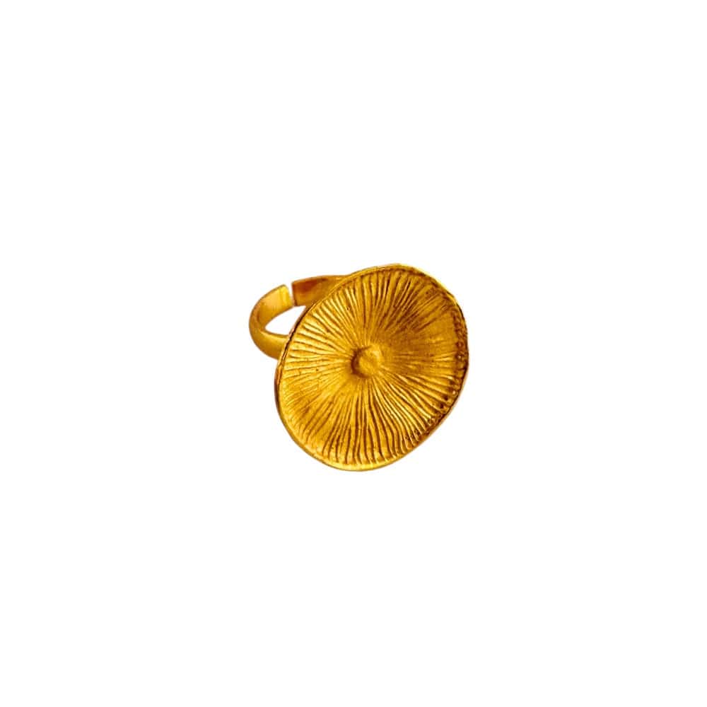 Anillo Plato Hongo