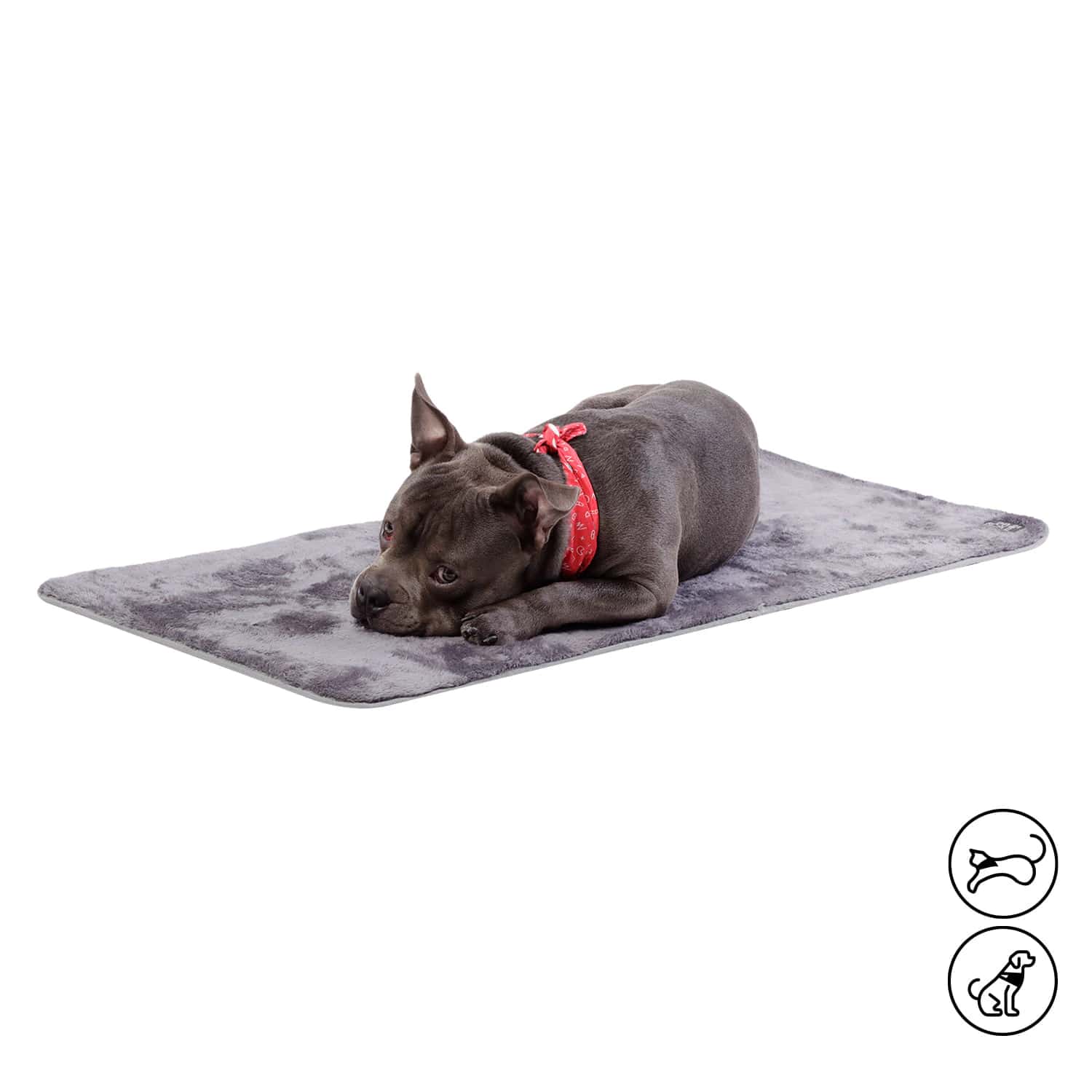 Cama Plegable Portatil Sherpy Grande Gris