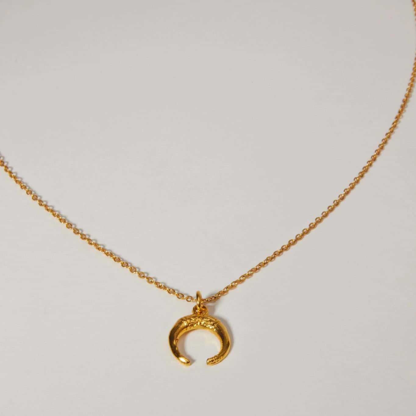 Luna Charm