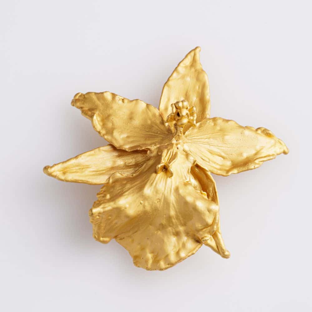 Wilsonara Orchid Pin