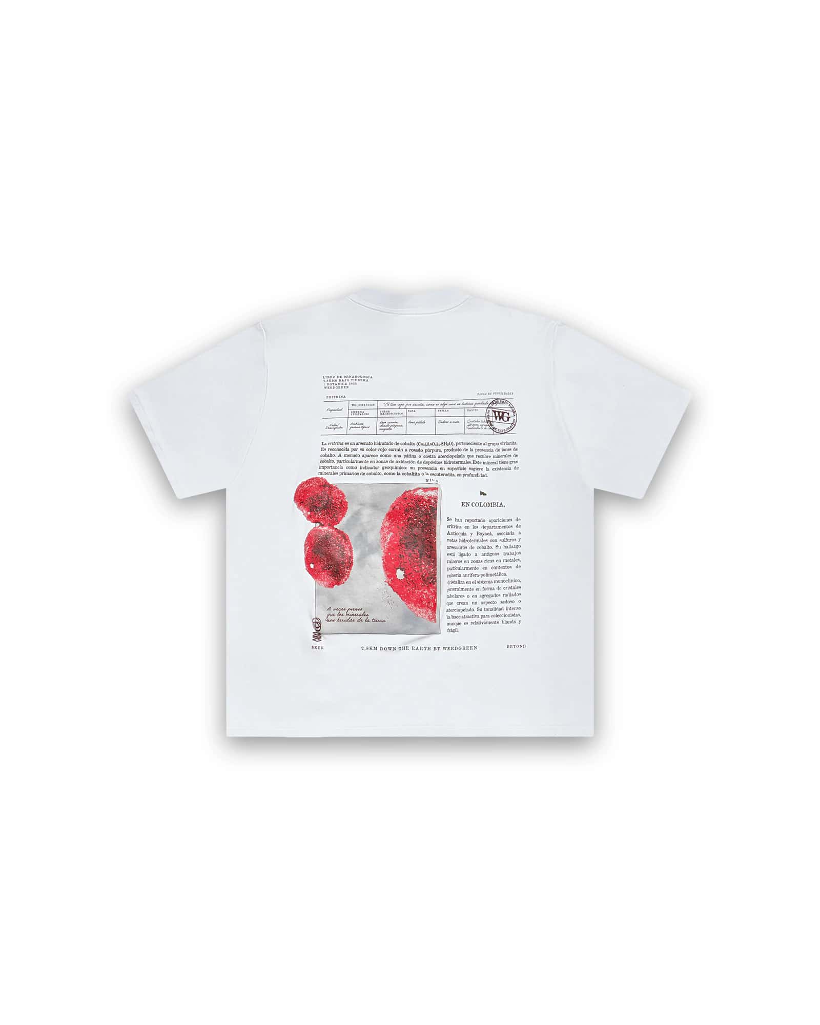 CAMISETA BOX ERITRINA BLANCO - miniatura 2