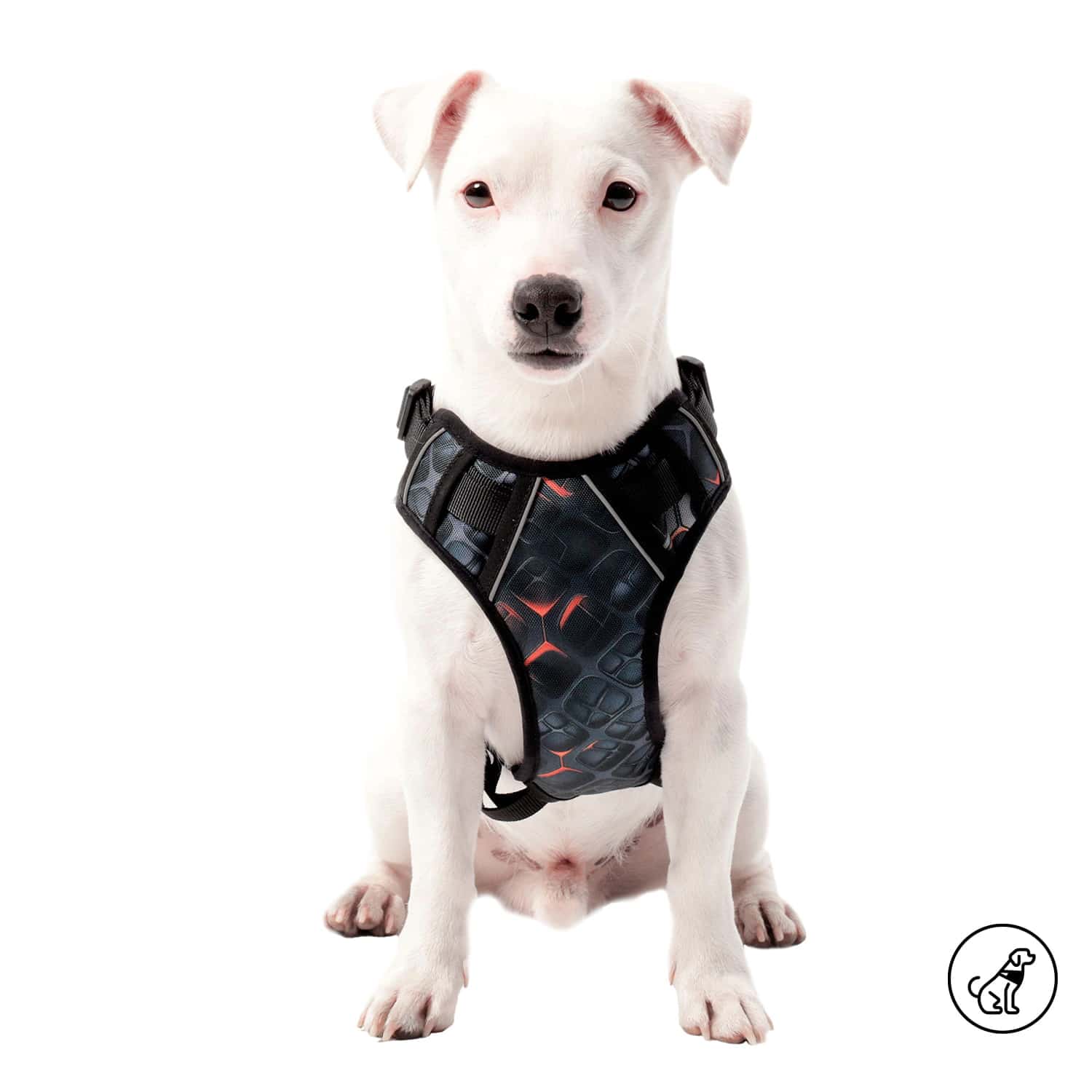 Arnés para Perro Draco M Mediano Negra