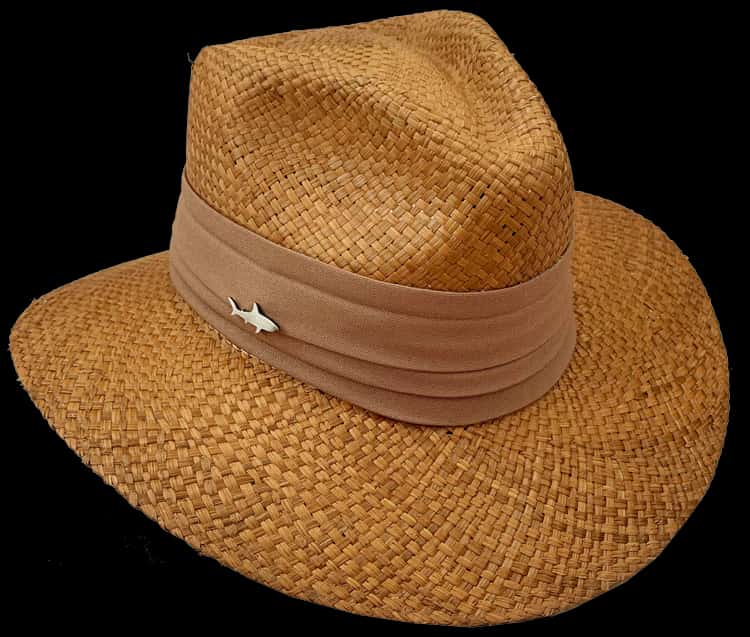 SOMBRERO OSCURO CINTA ANCHA TABACO