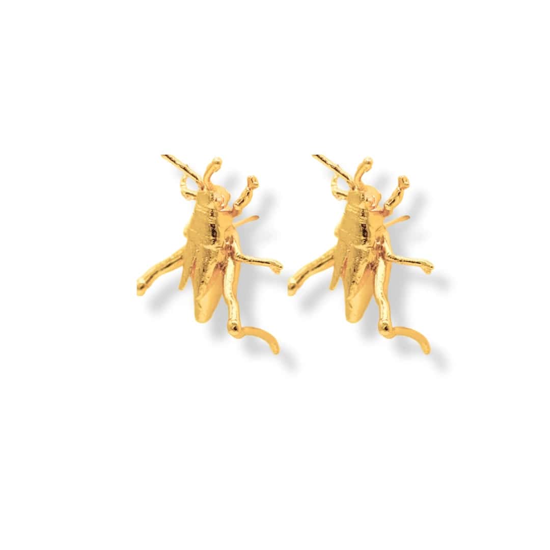 Aretes de saltamontes medianos